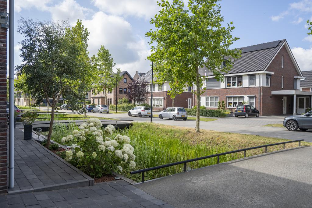 Spiegellaan 12, afbeelding 6