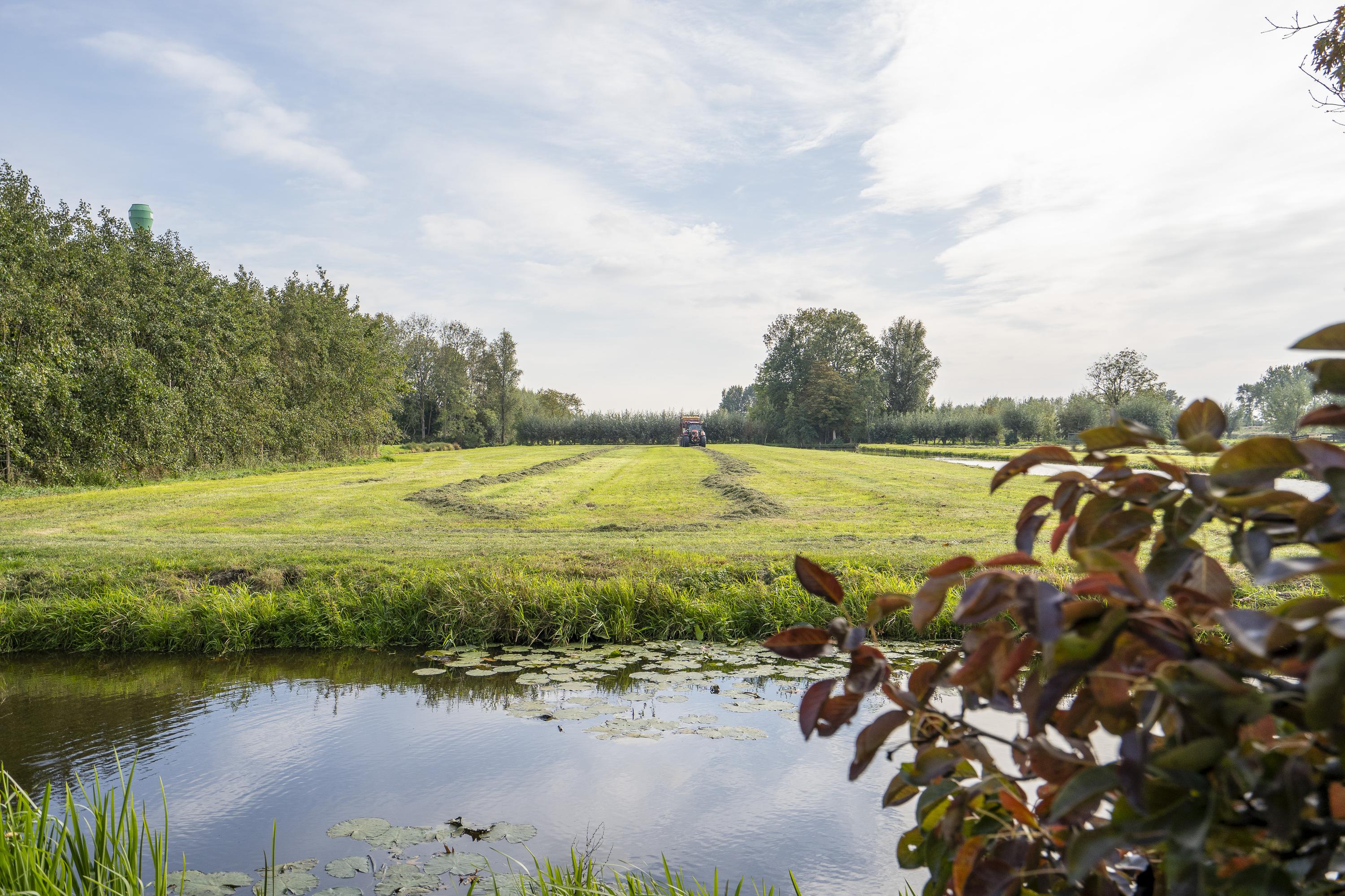 Zuidzijde 160, afbeelding 64