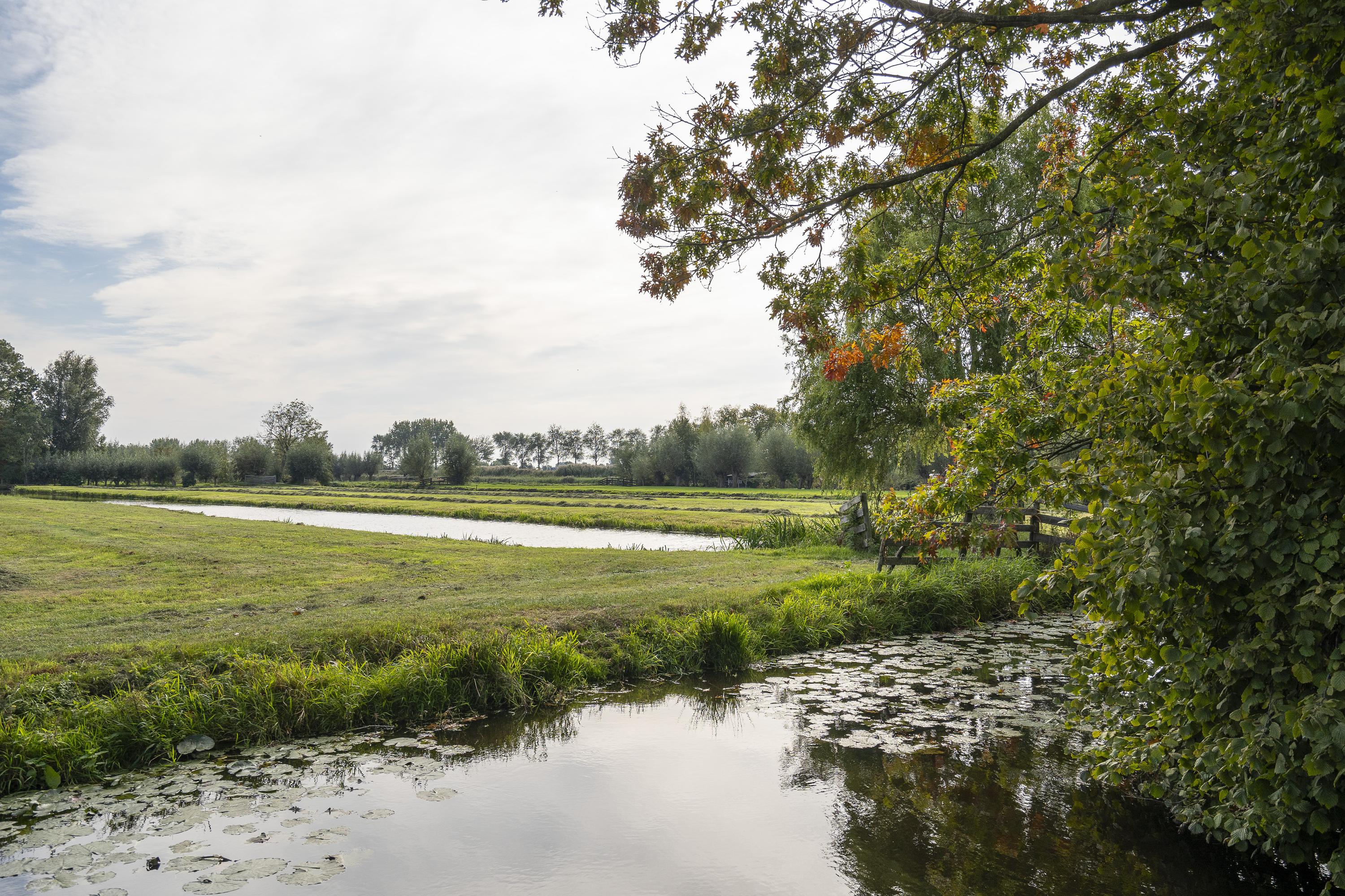 Zuidzijde 160, afbeelding 65