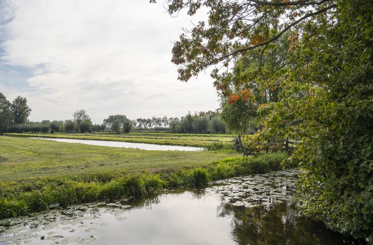 Afbeelding 65