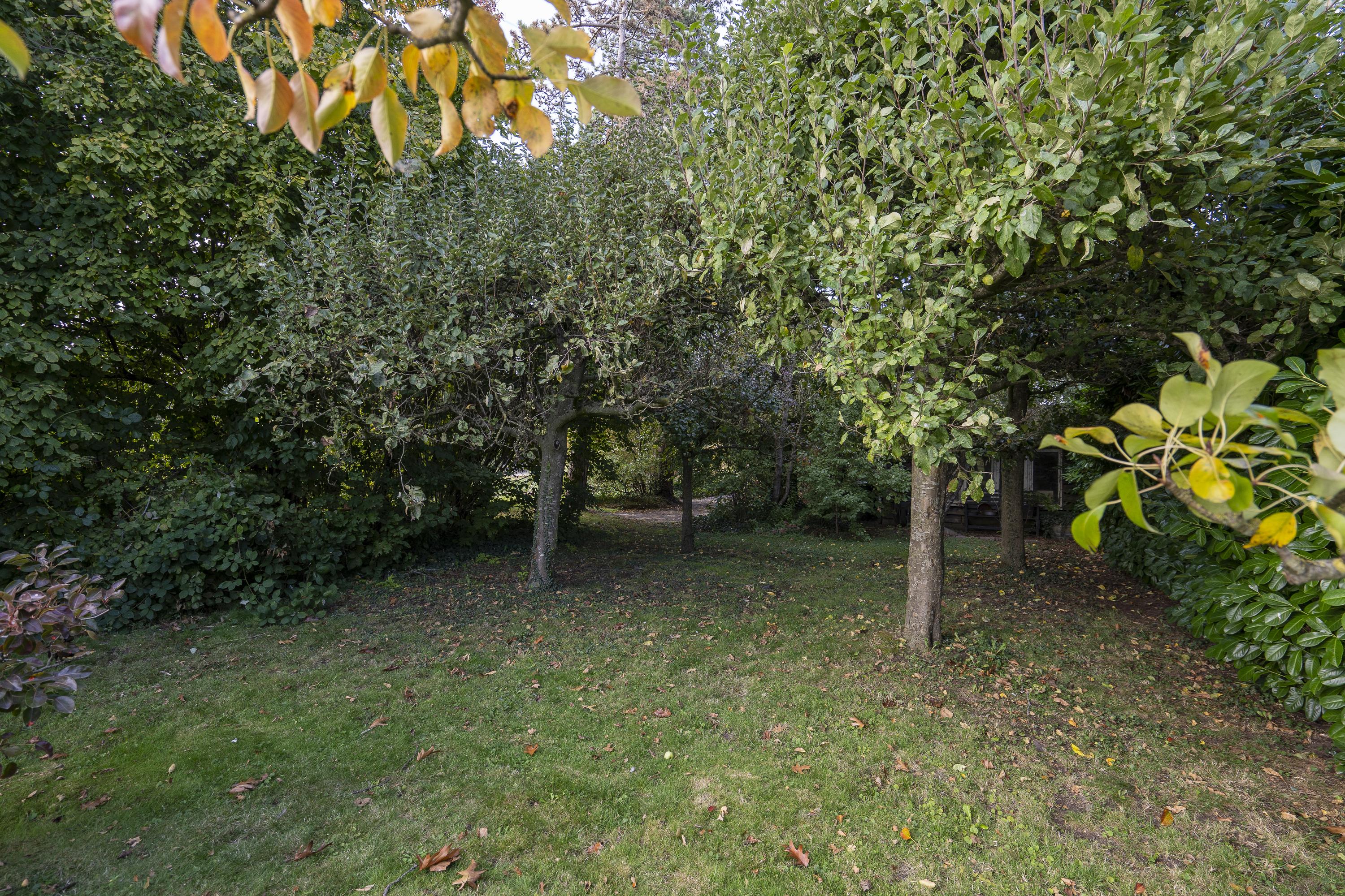 Zuidzijde 160, afbeelding 66