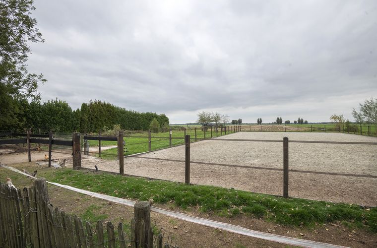 Afbeelding 82