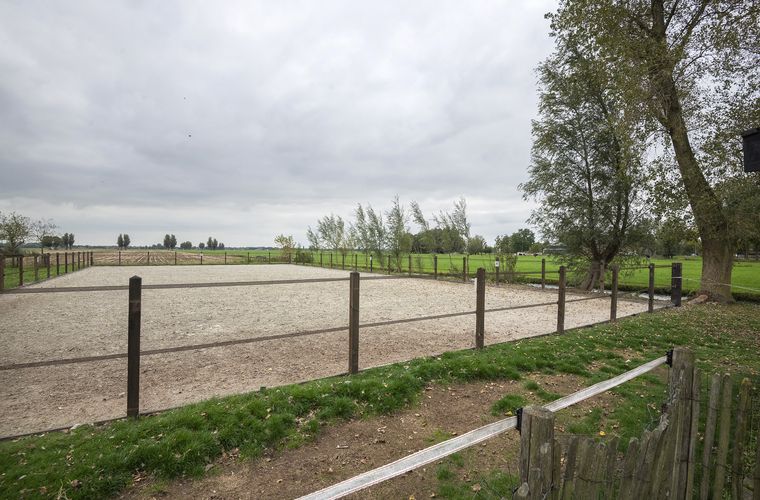 Afbeelding 83