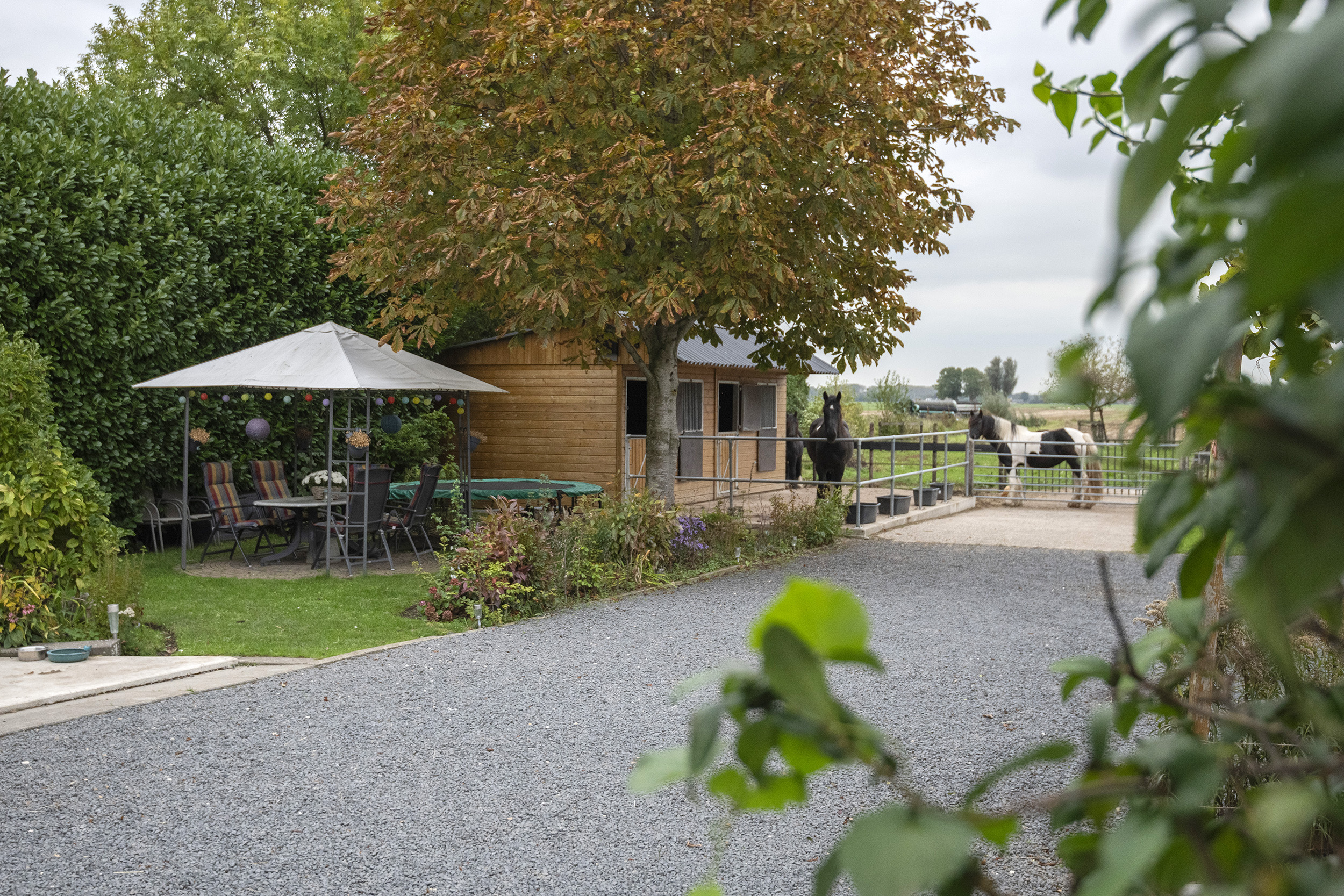 Smalzijde 6, afbeelding 74