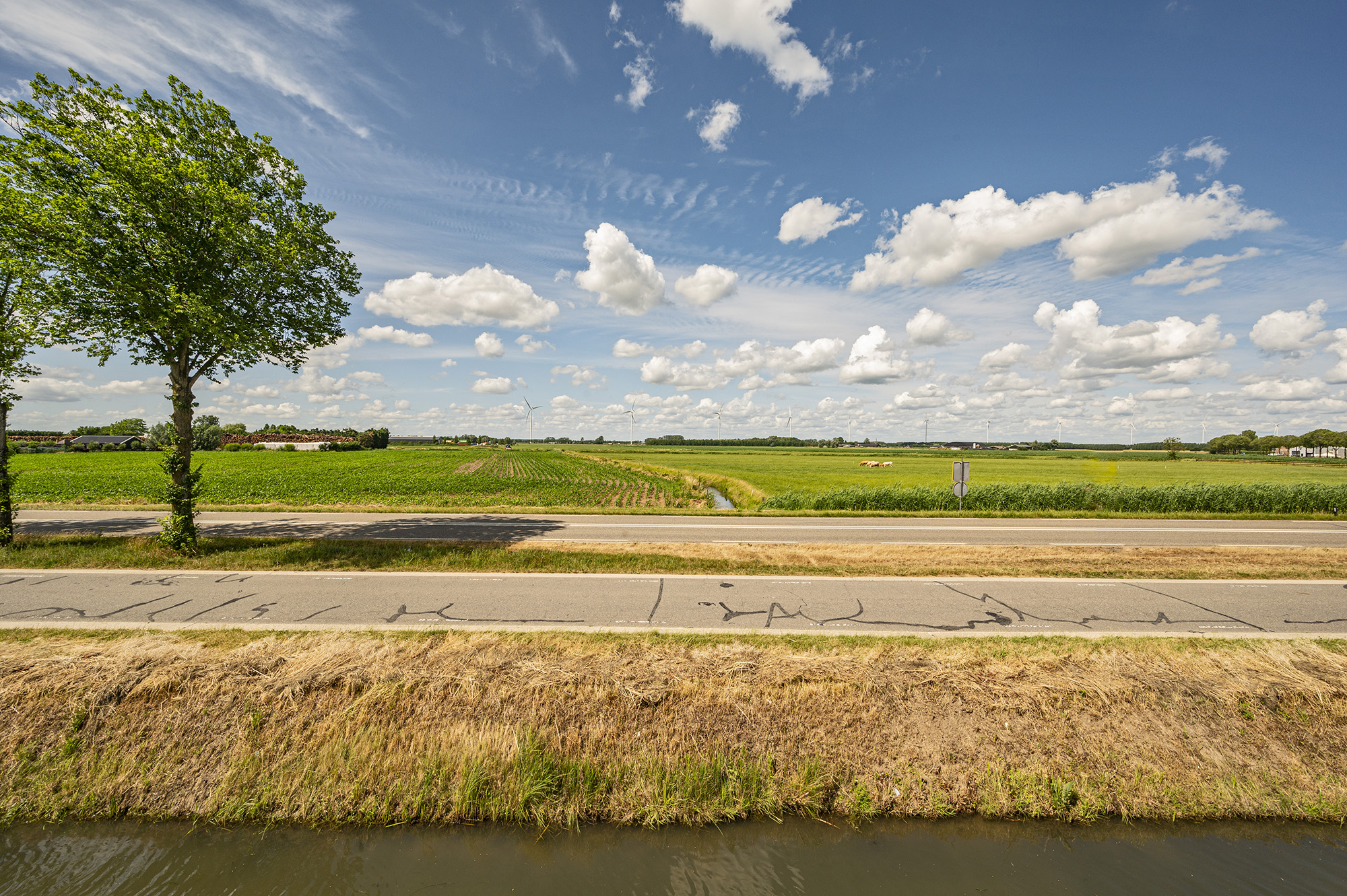 Rijthoek 11, afbeelding 32