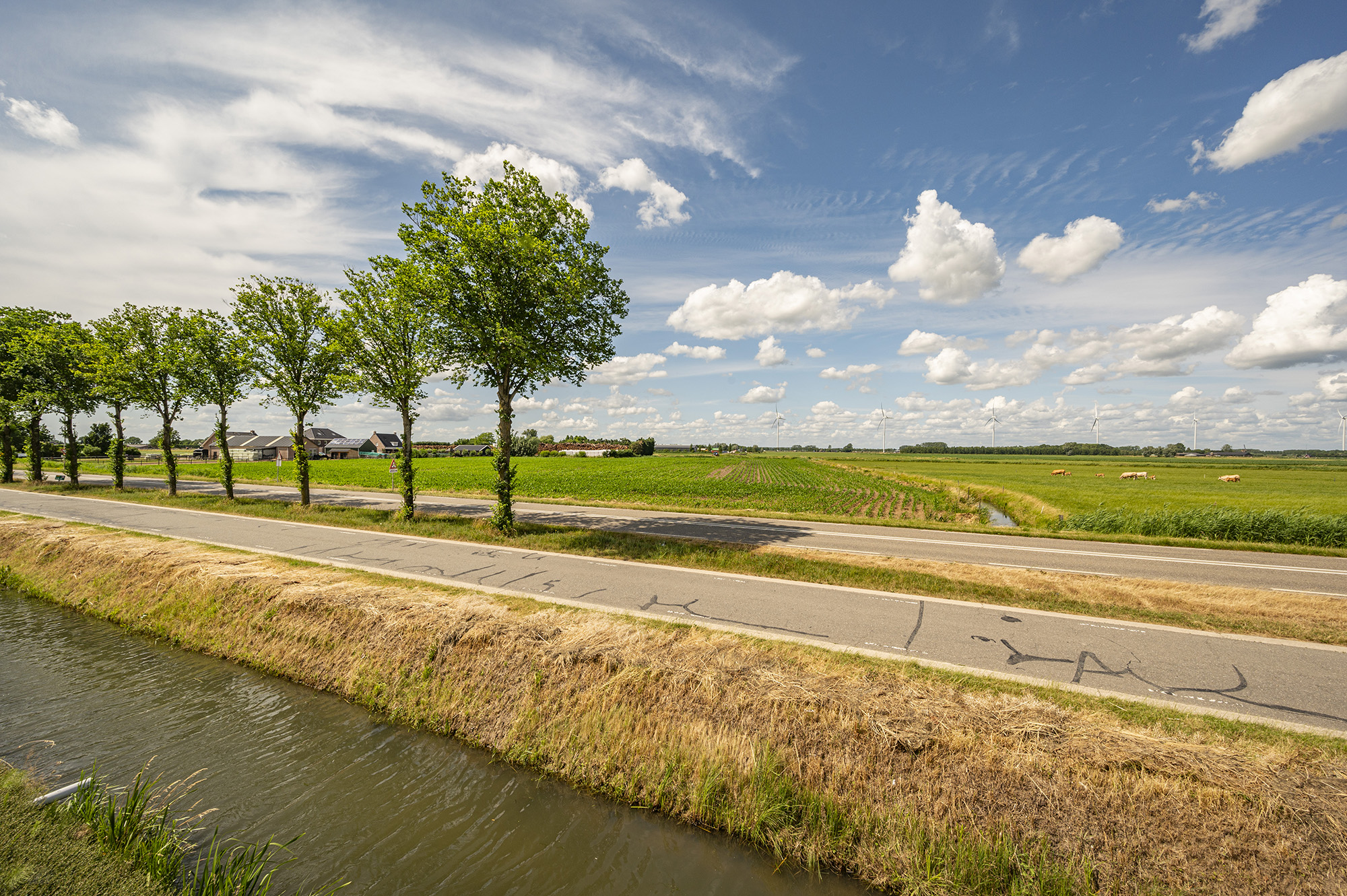 Rijthoek 11, afbeelding 33