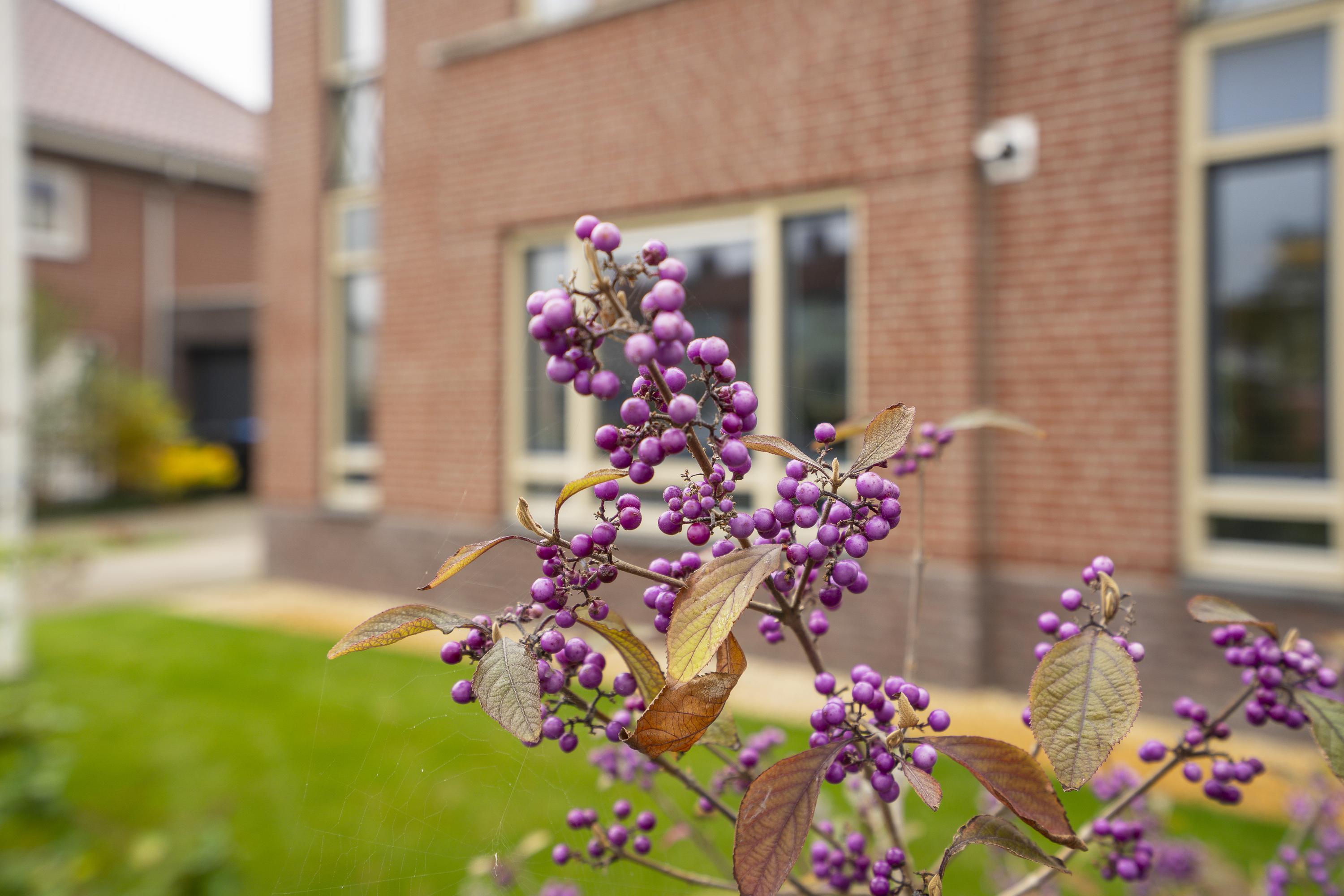 Prinses Marijkeweg 2L, afbeelding 79