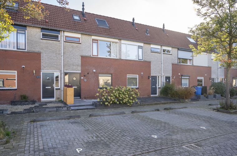 Afbeelding 33