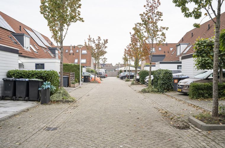 Afbeelding 25