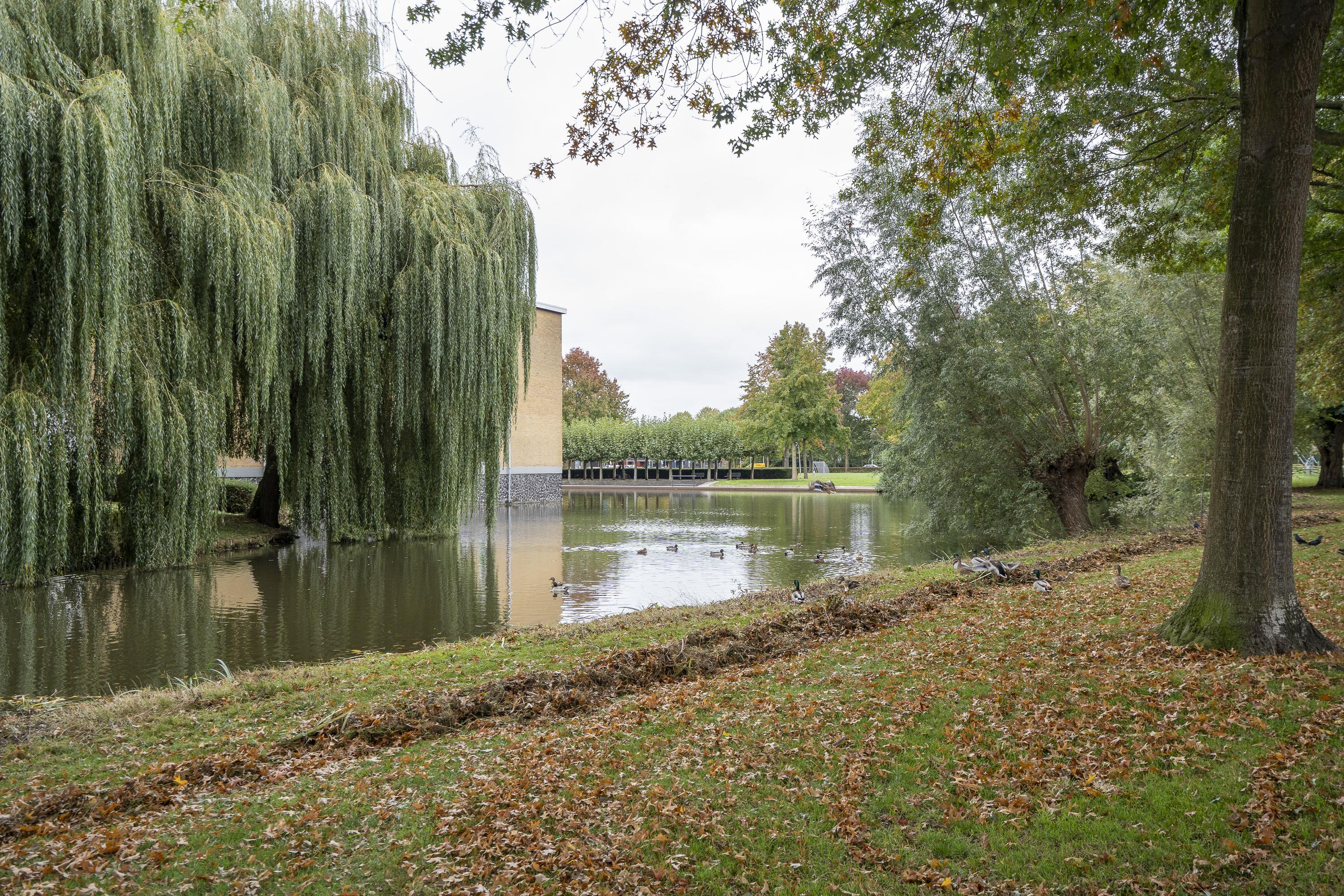 Vondellaan 140, afbeelding 33