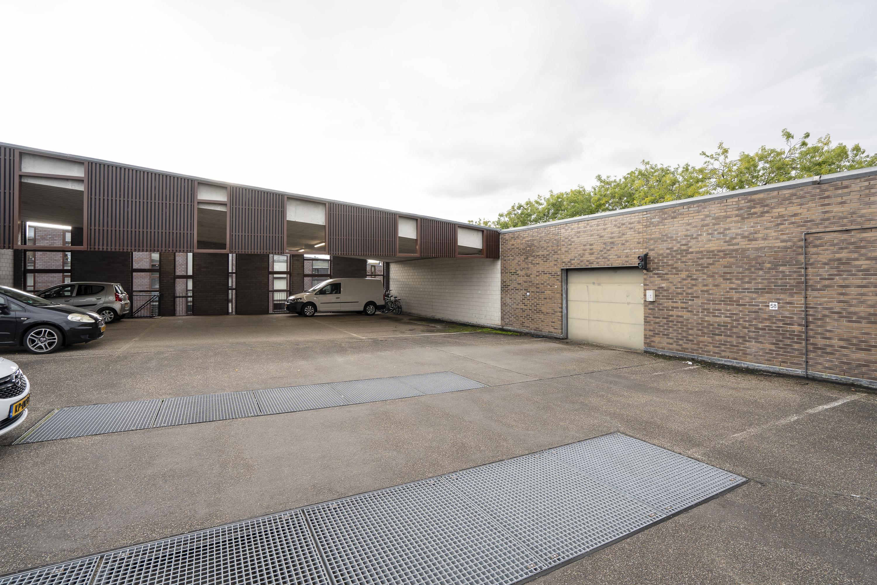 Dotterbloem 14, afbeelding 4