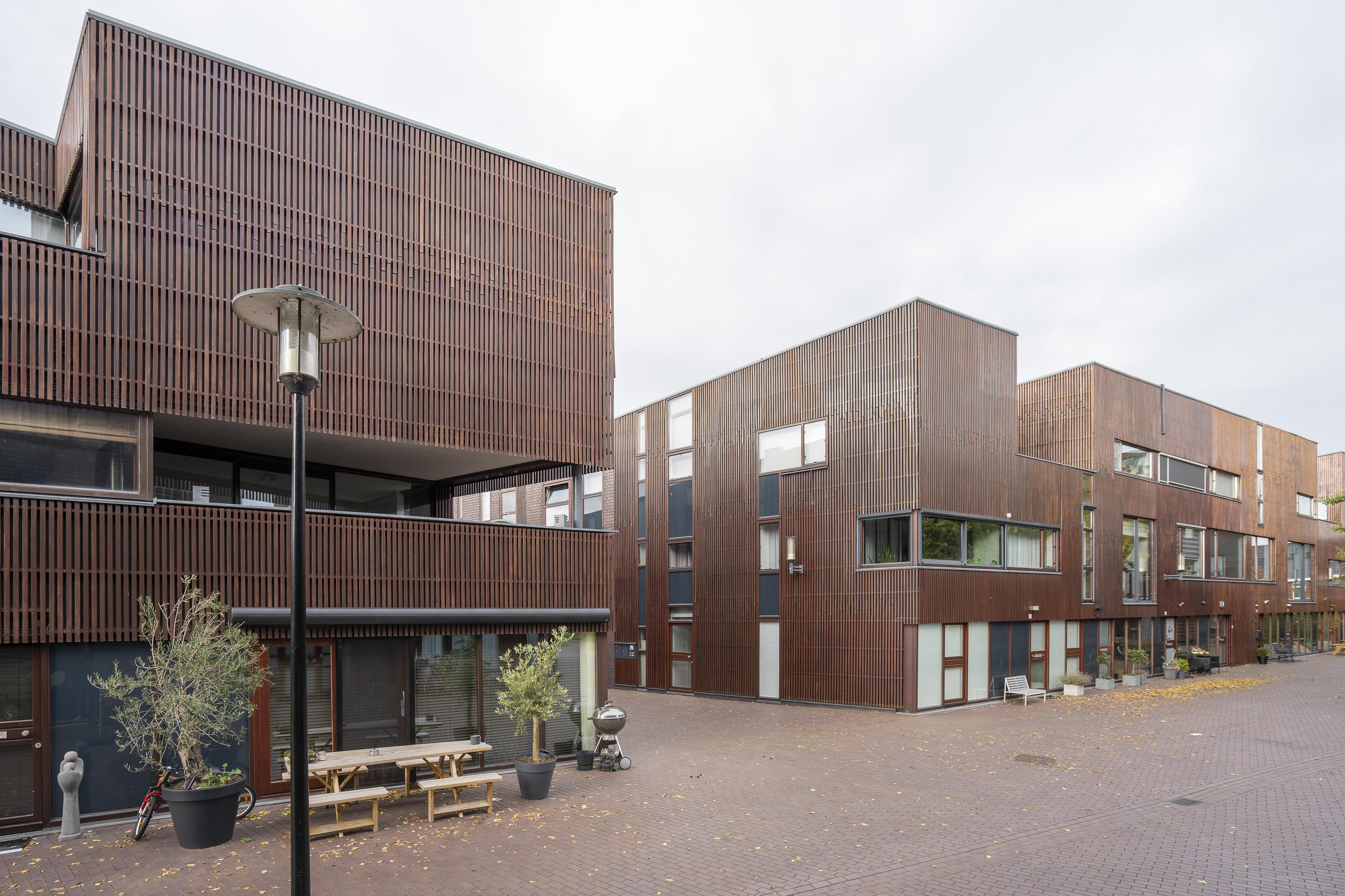 Dotterbloem 14, afbeelding 5