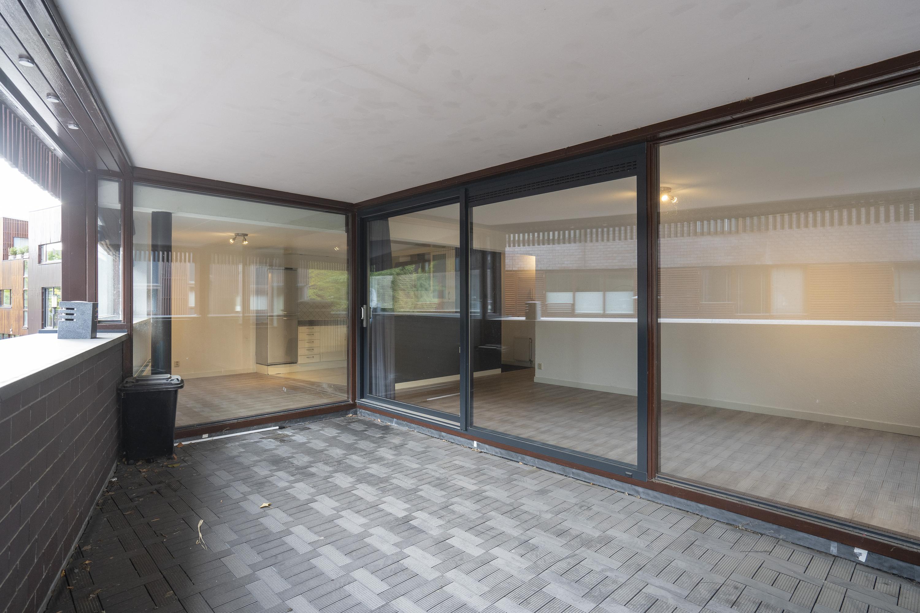 Dotterbloem 14, afbeelding 12