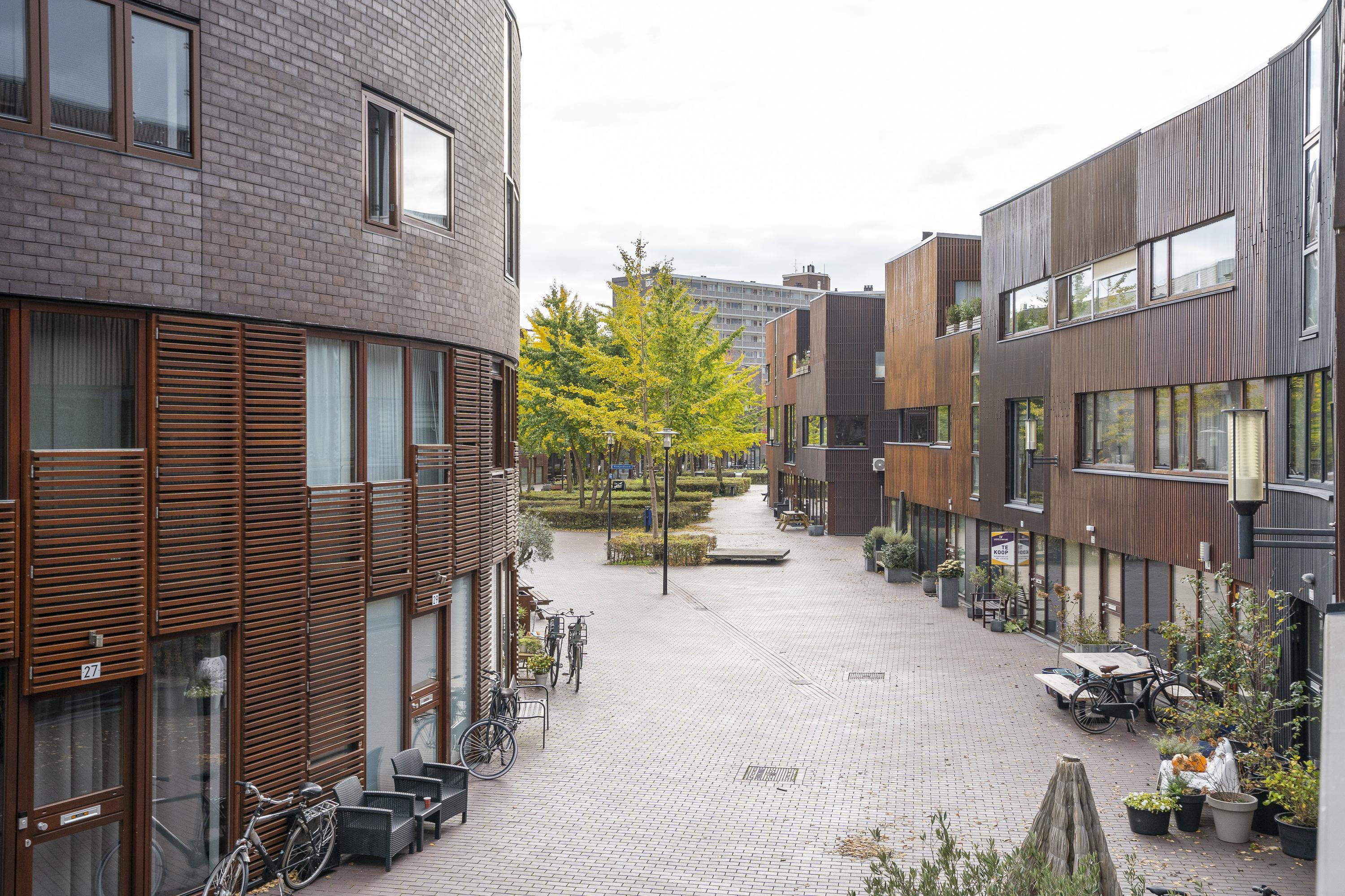 Dotterbloem 14, afbeelding 13