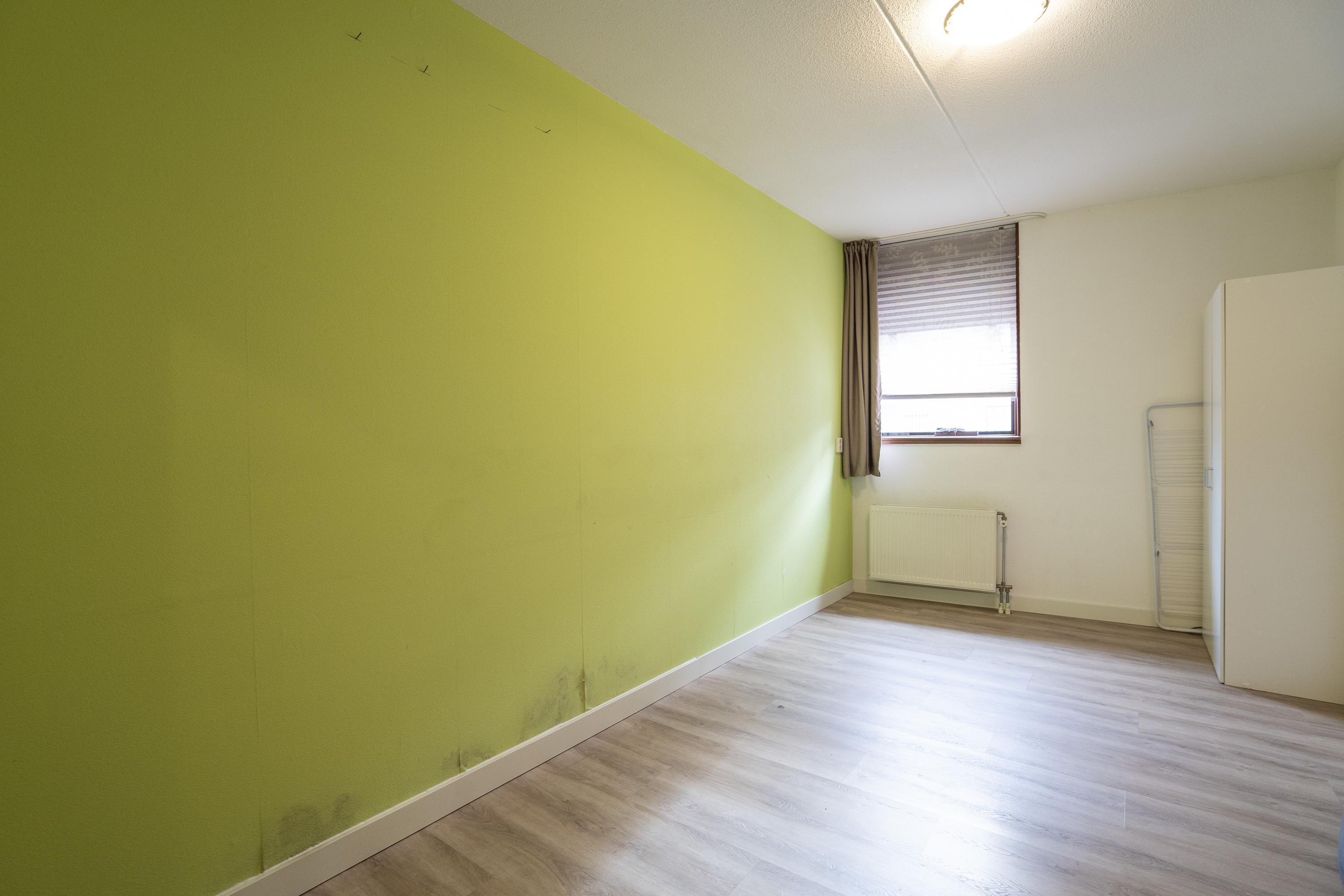 Dotterbloem 14, afbeelding 18