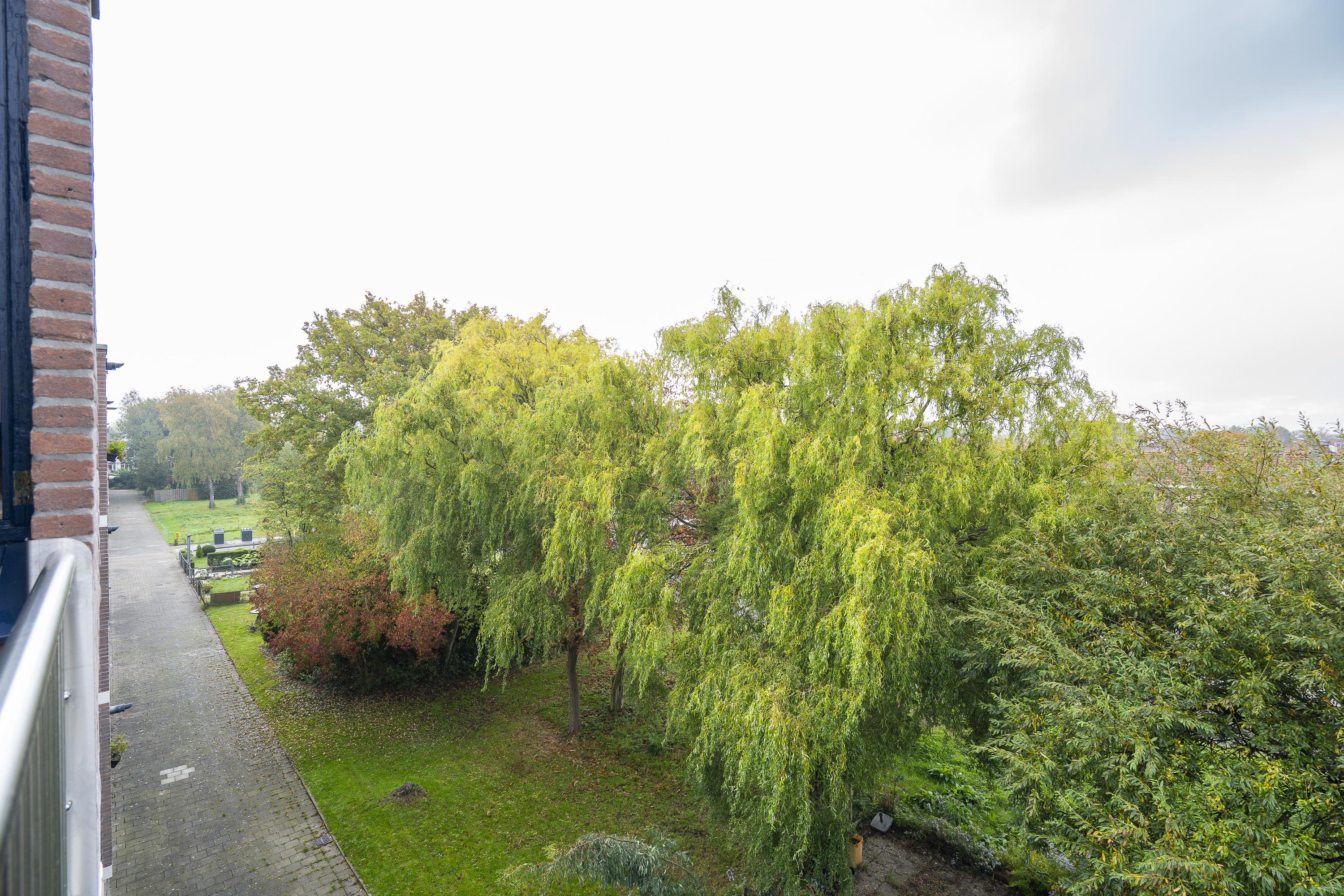 Jan van Riebeeckstraat 156, afbeelding 34