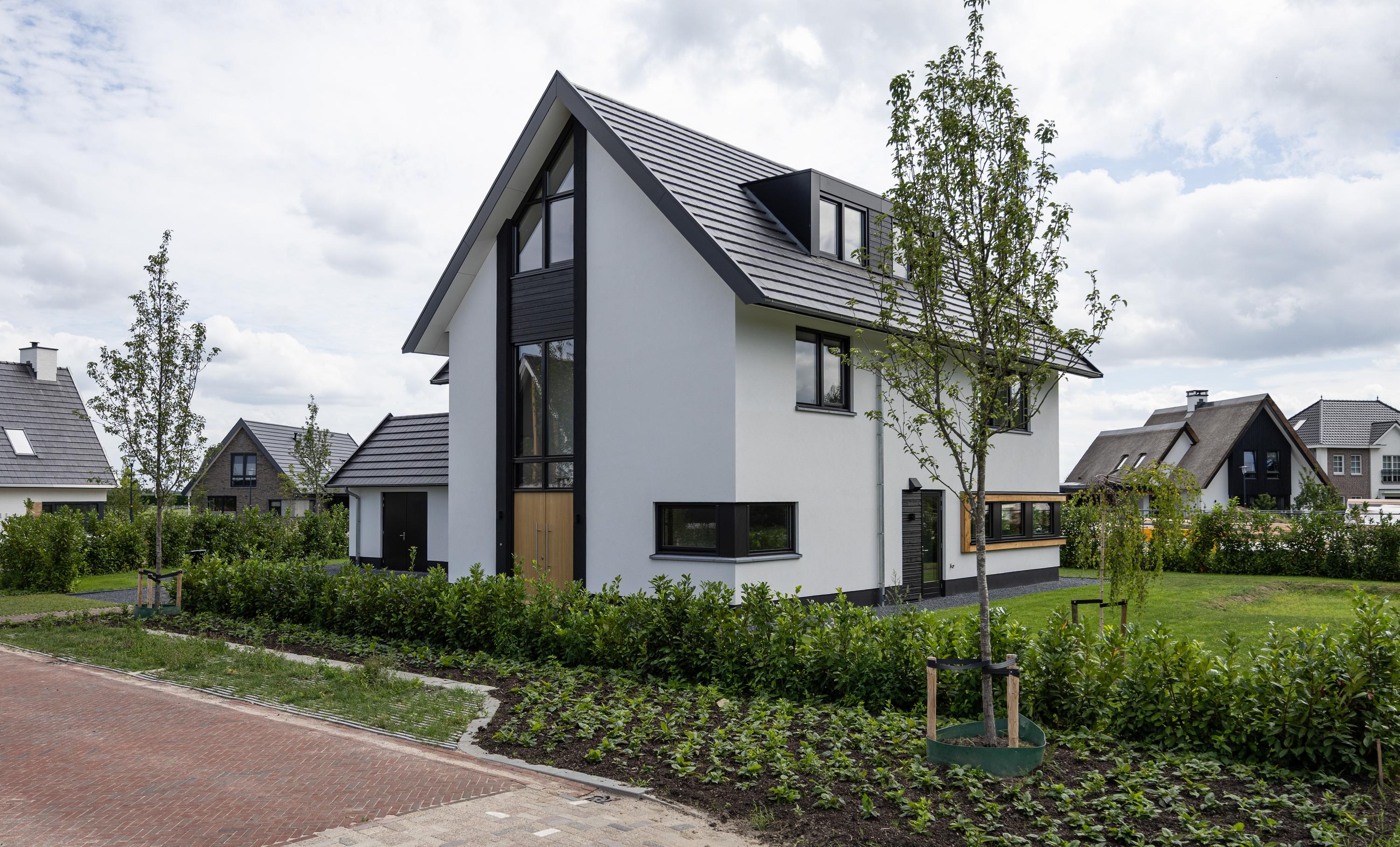 Blanckestyn 2, afbeelding 4