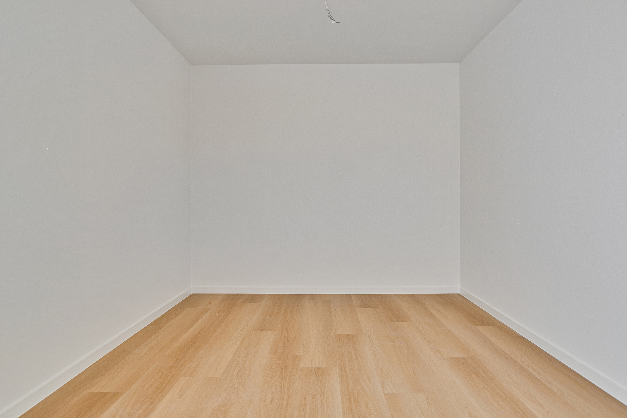 Blanckestyn 2, afbeelding 48