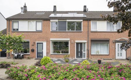 Burgemeester Schefferhof 18