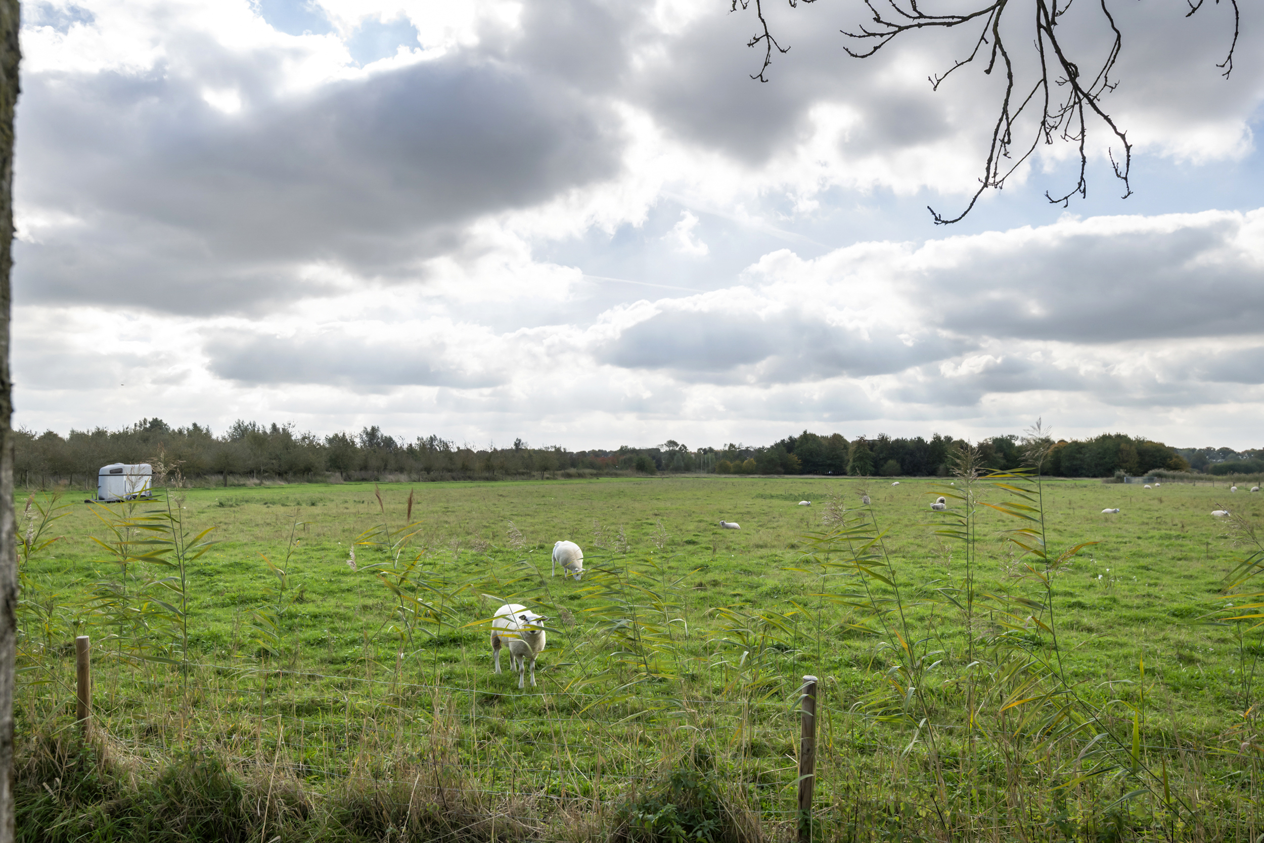 Spijkse Kweldijk 104c, afbeelding 3
