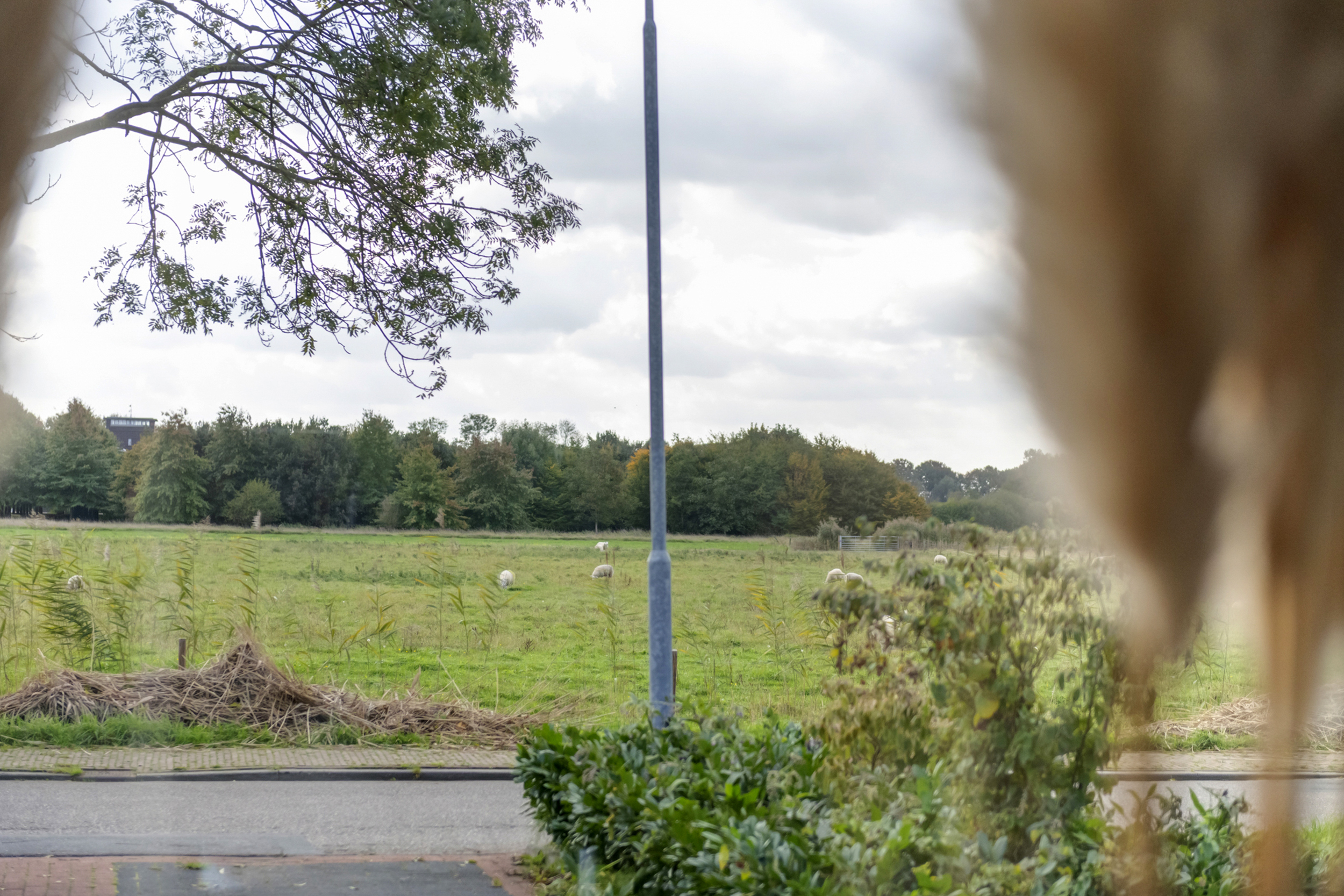 Spijkse Kweldijk 104c, afbeelding 14