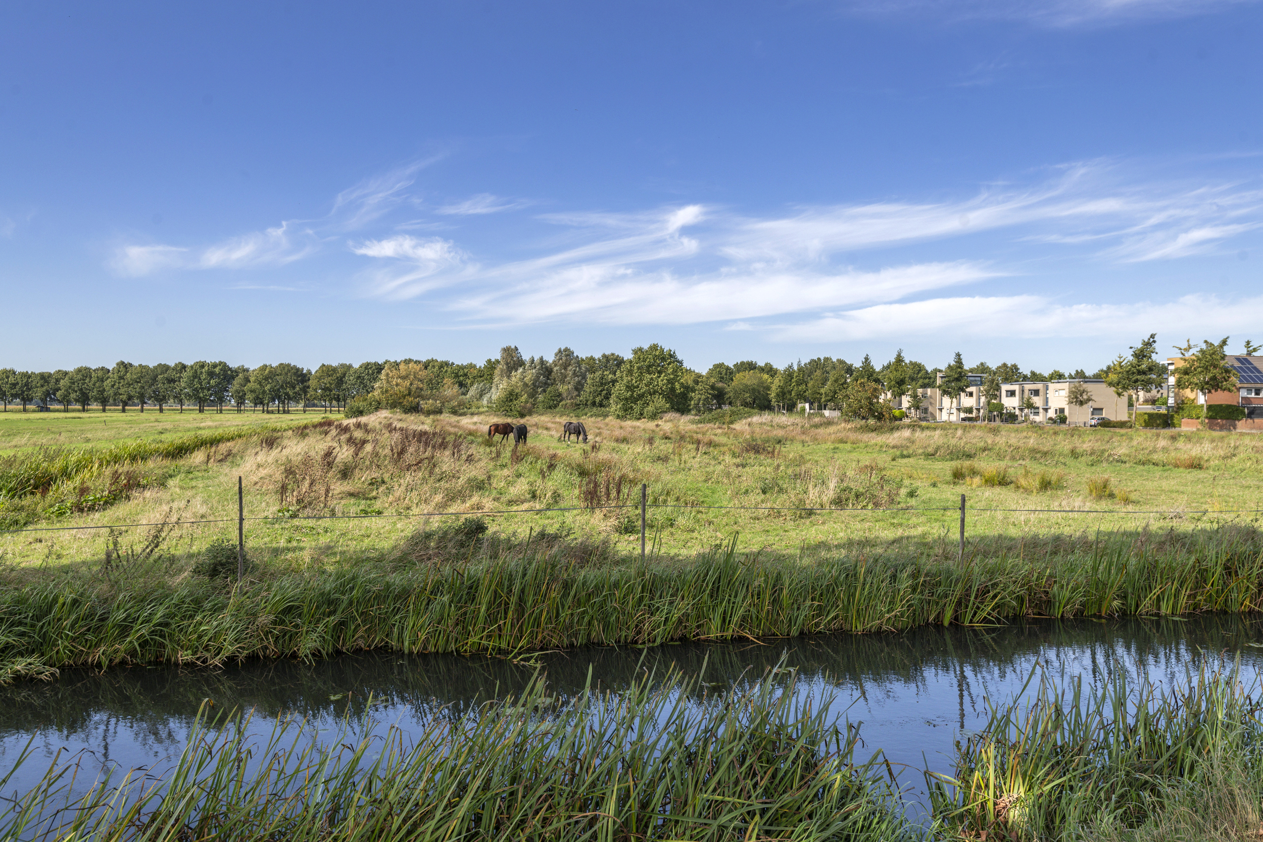 Valkenier 23, afbeelding 3