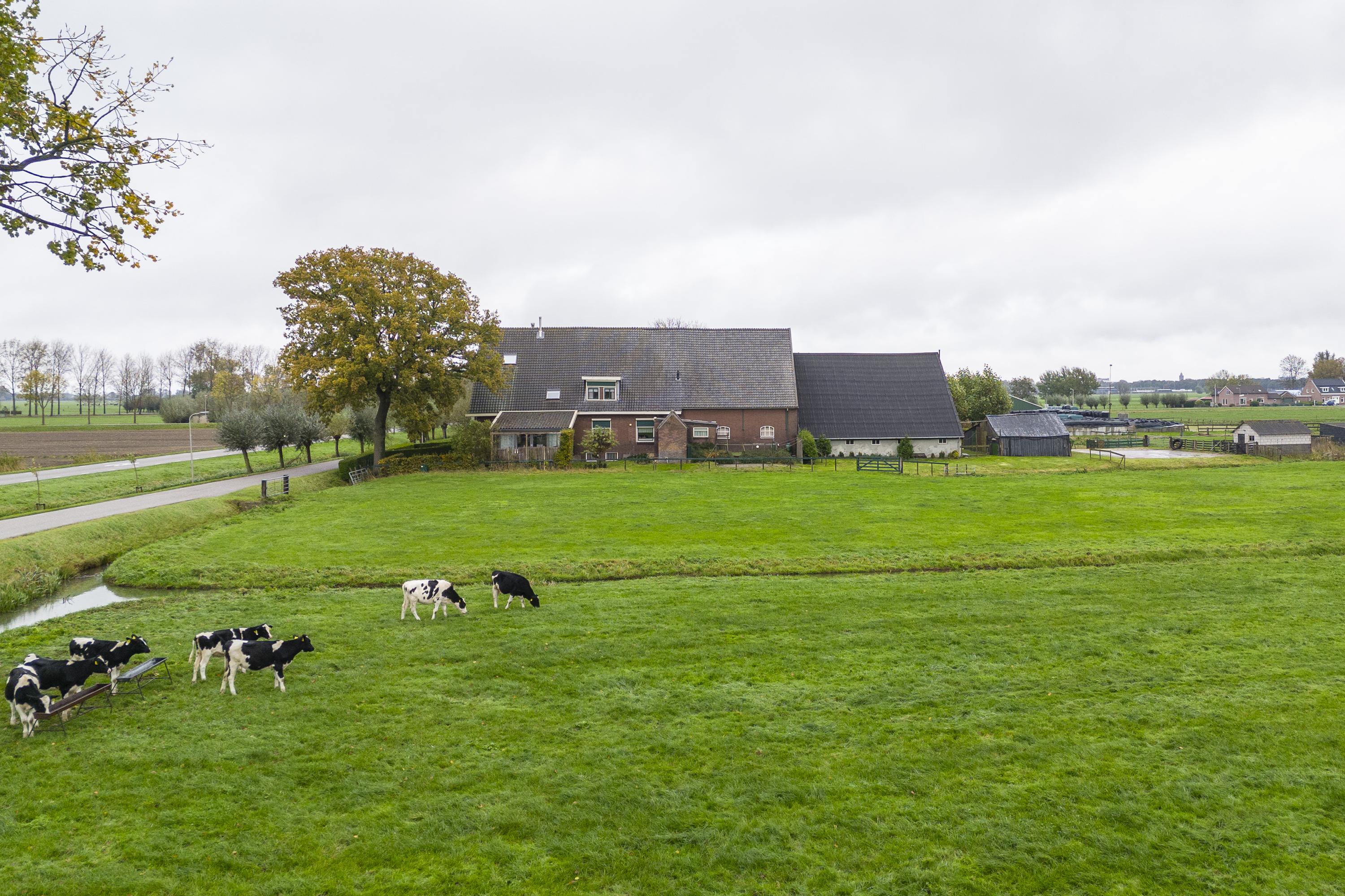 Geer 53, afbeelding 2