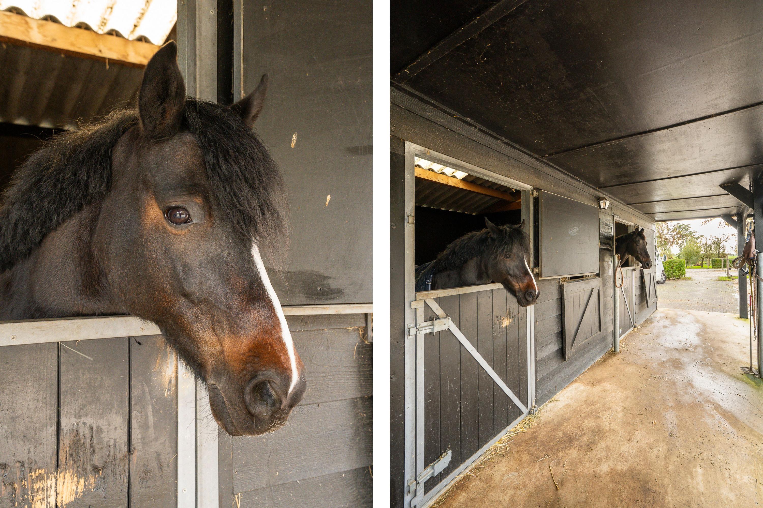 Lage Giessen 17, afbeelding 8