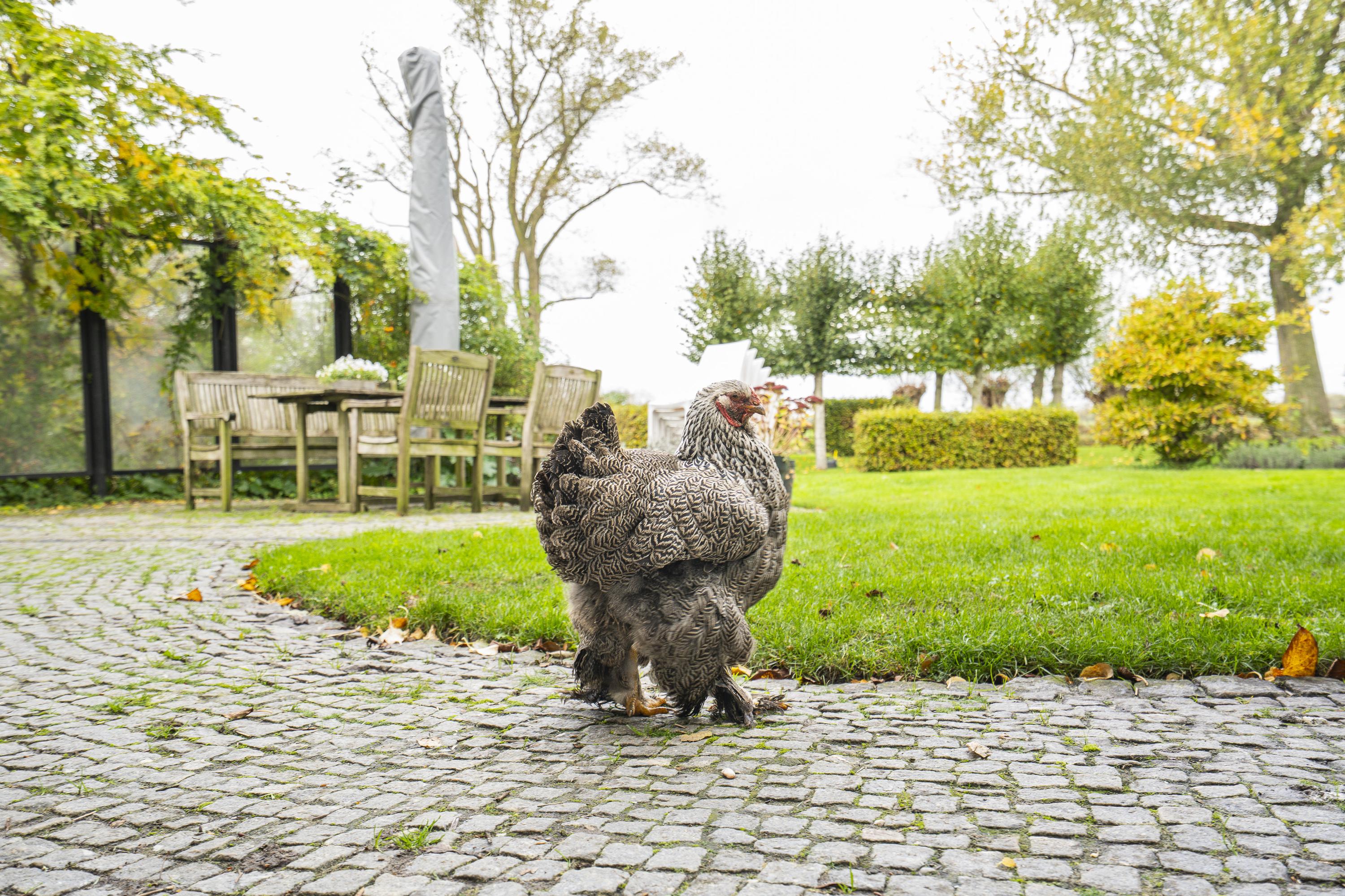 Lage Giessen 17, afbeelding 47