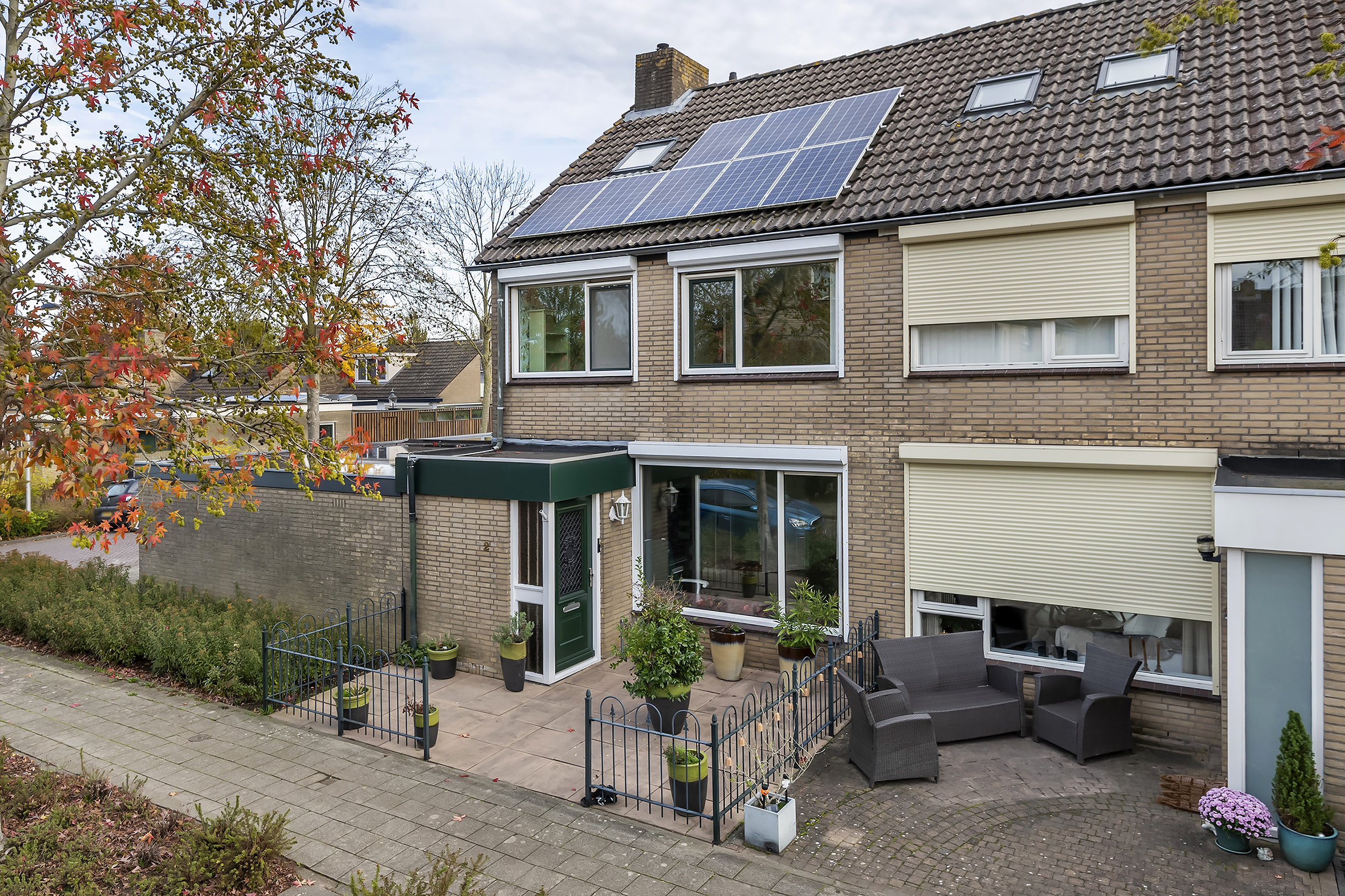 Pruimeboom 2, afbeelding 23