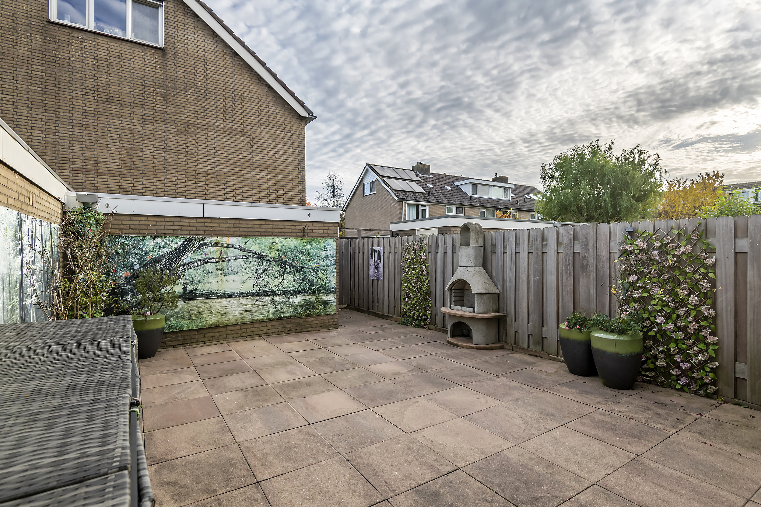 Pruimeboom 2, afbeelding 20