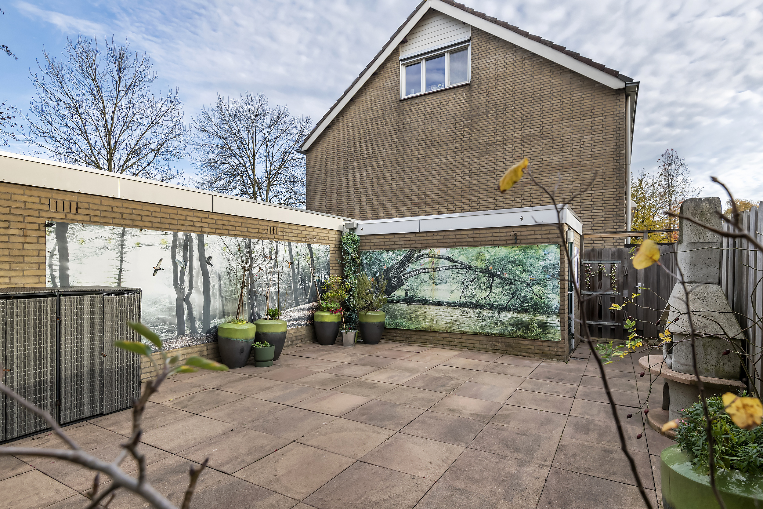 Pruimeboom 2, afbeelding 1