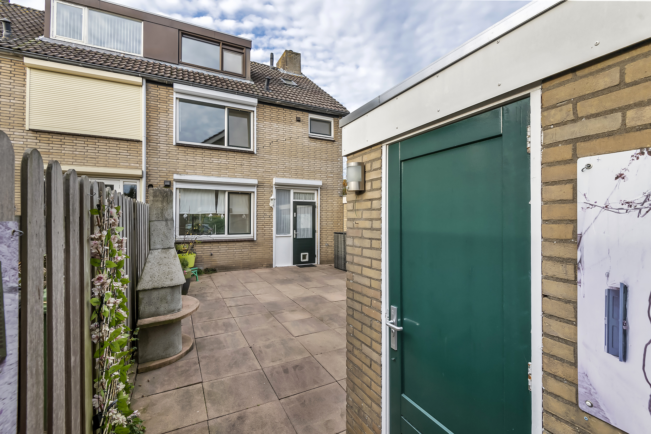 Pruimeboom 2, afbeelding 21