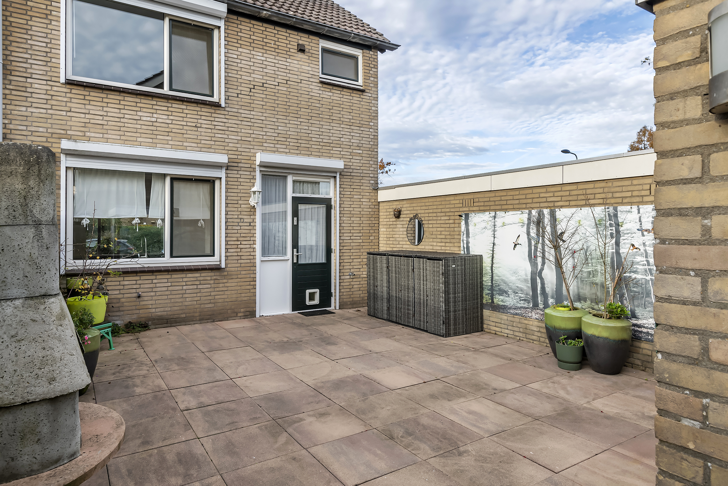 Pruimeboom 2, afbeelding 5