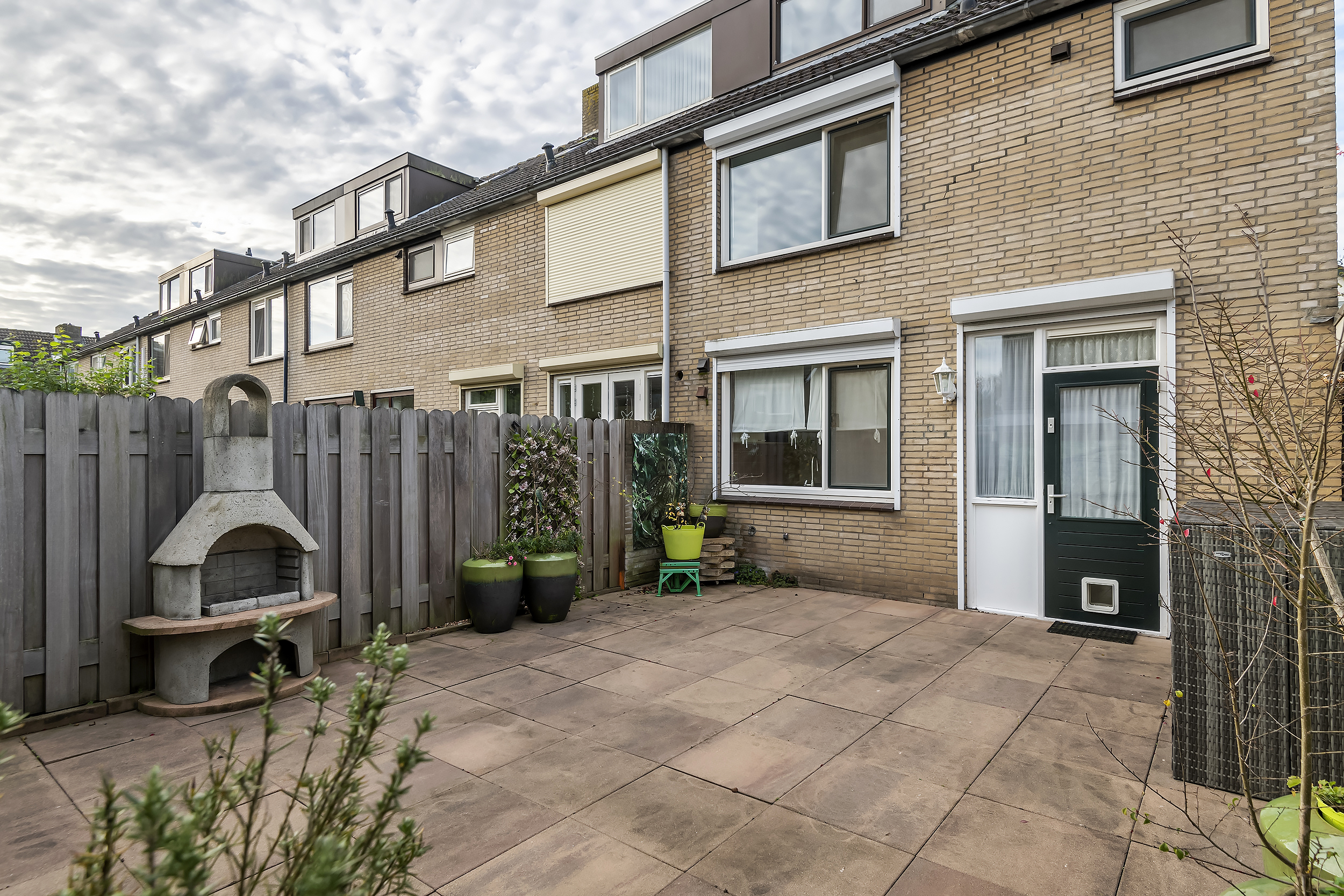 Pruimeboom 2, afbeelding 22