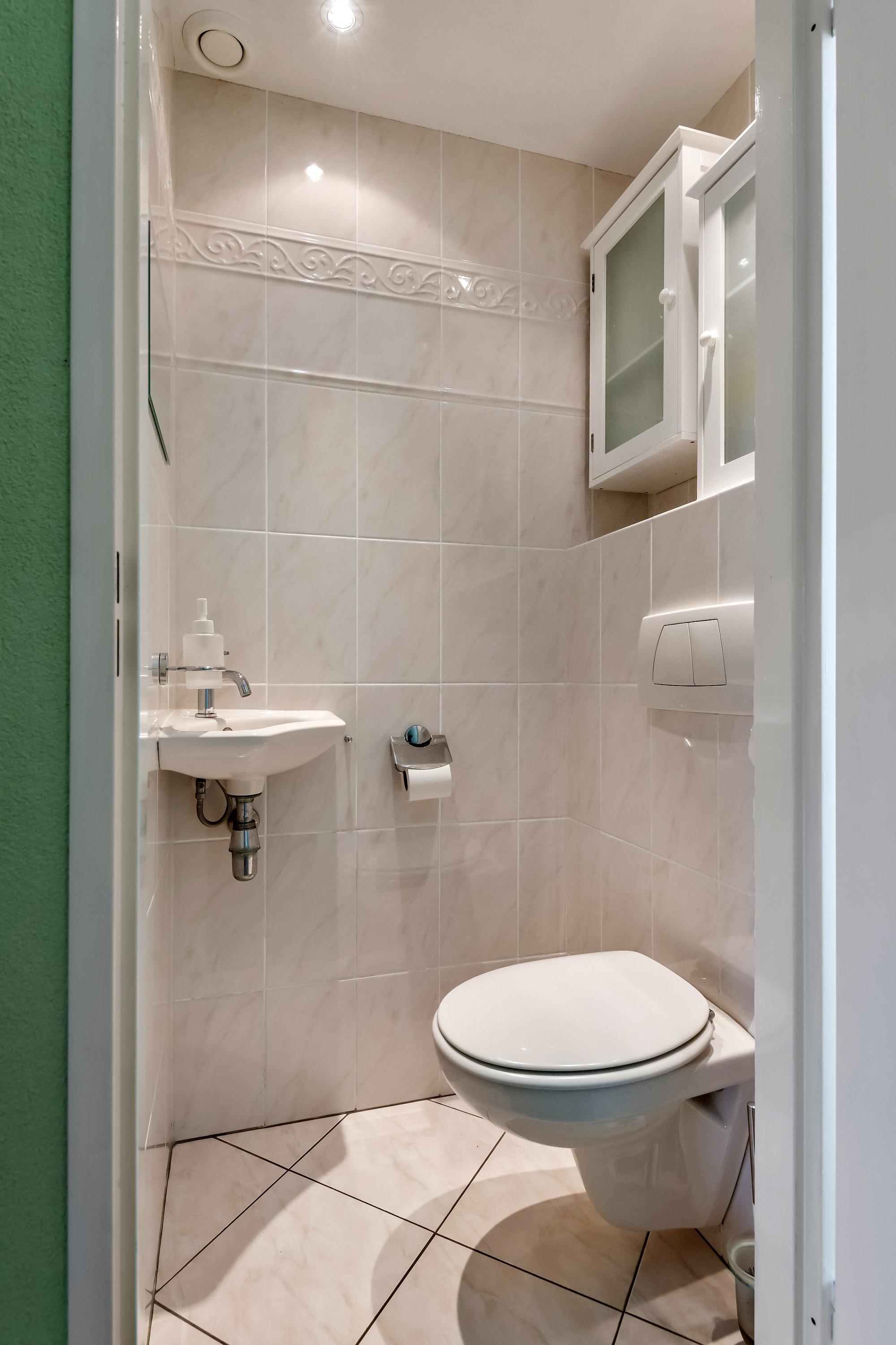 Pruimeboom 2, afbeelding 11