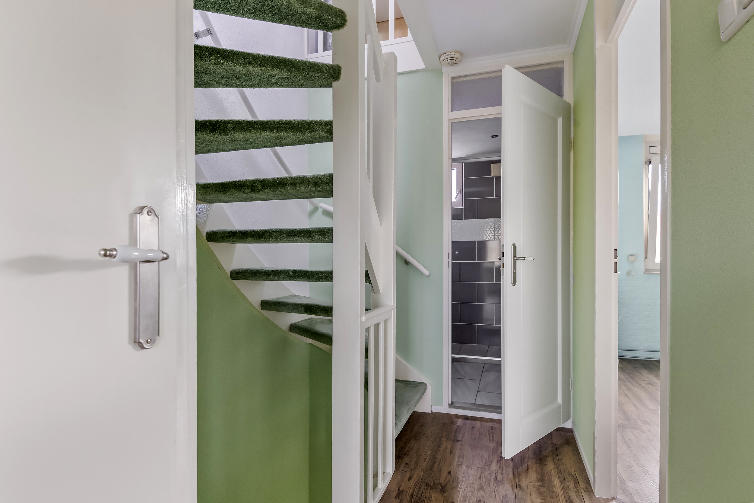 Pruimeboom 2, afbeelding 15