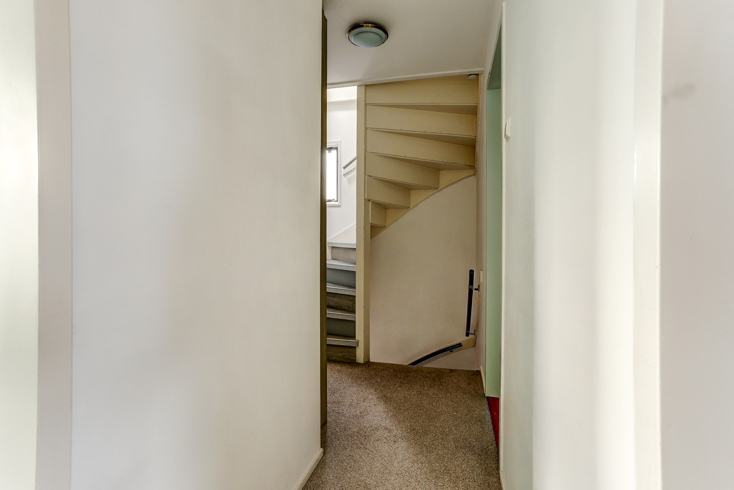 de Graaff 41, afbeelding 19