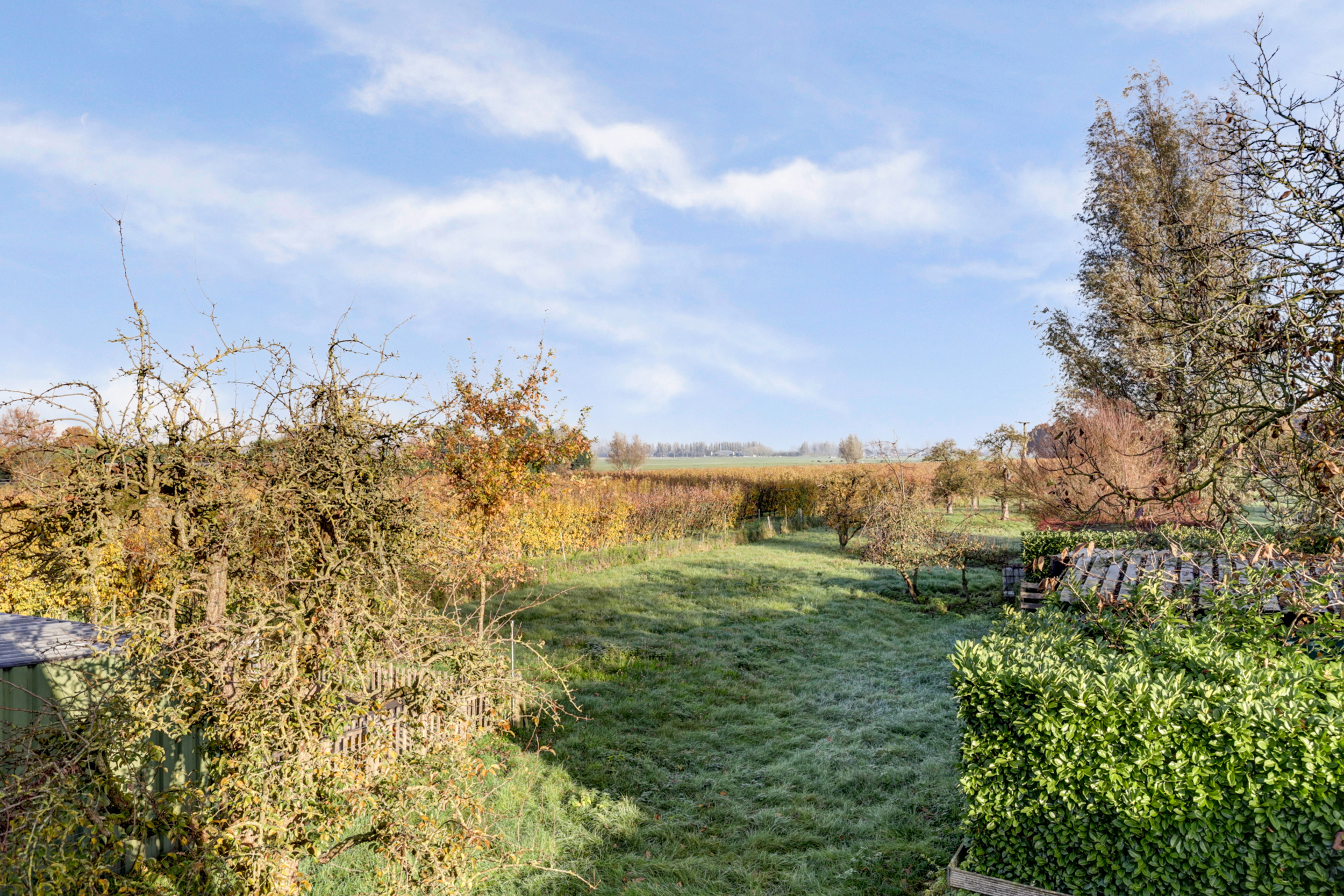 Overboeicop 14, afbeelding 11