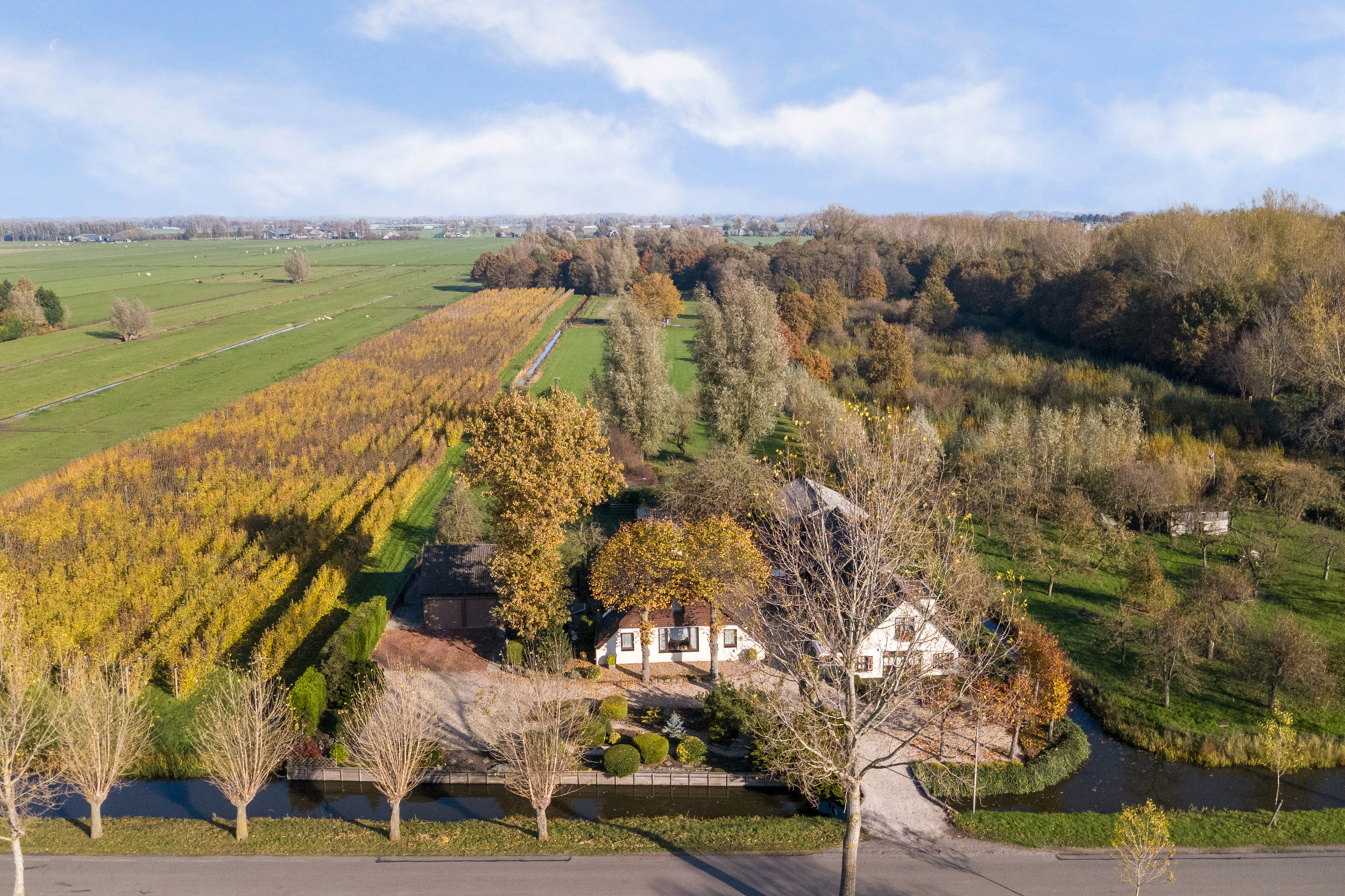 Overboeicop 14, afbeelding 55