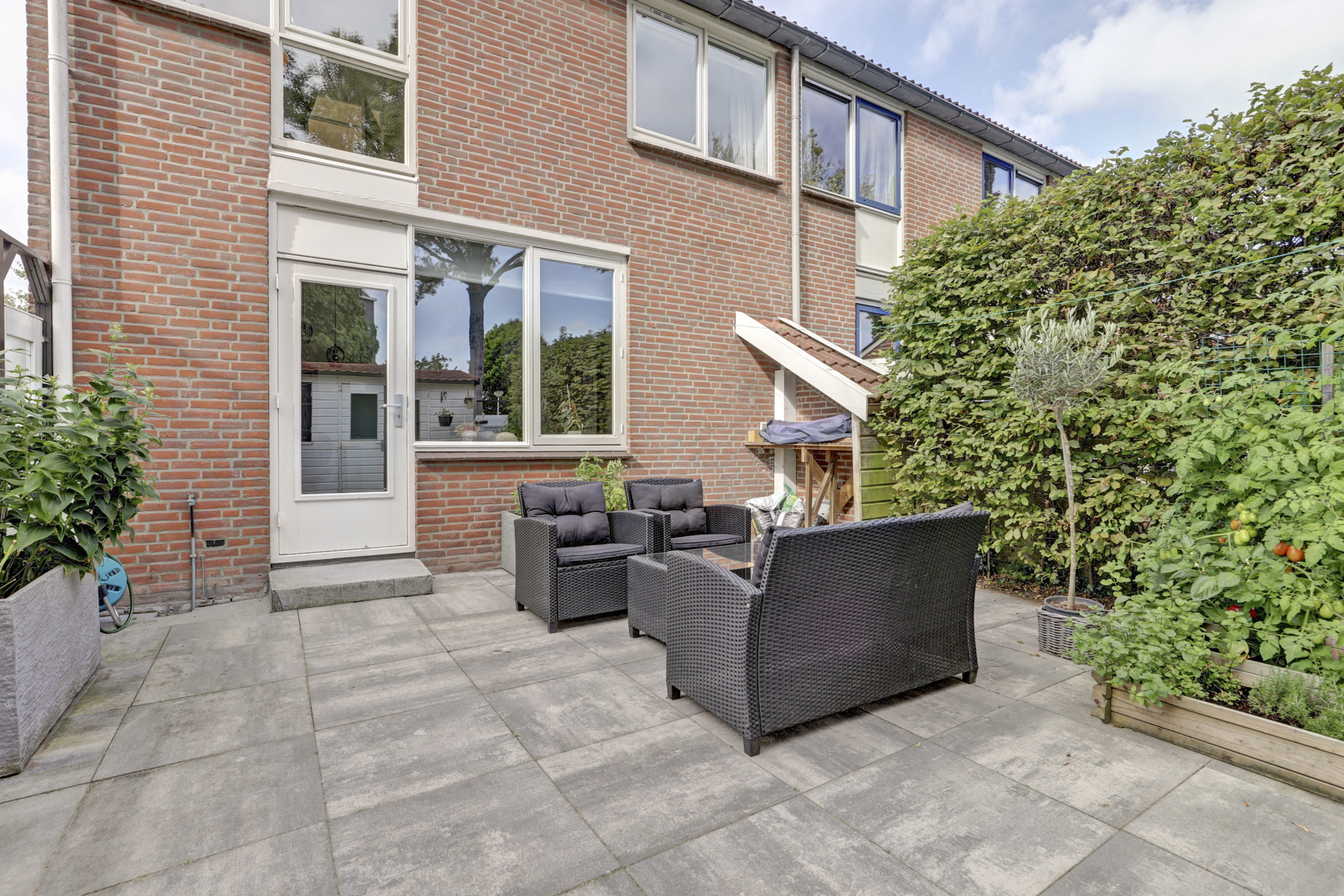 Weide 9, afbeelding 3