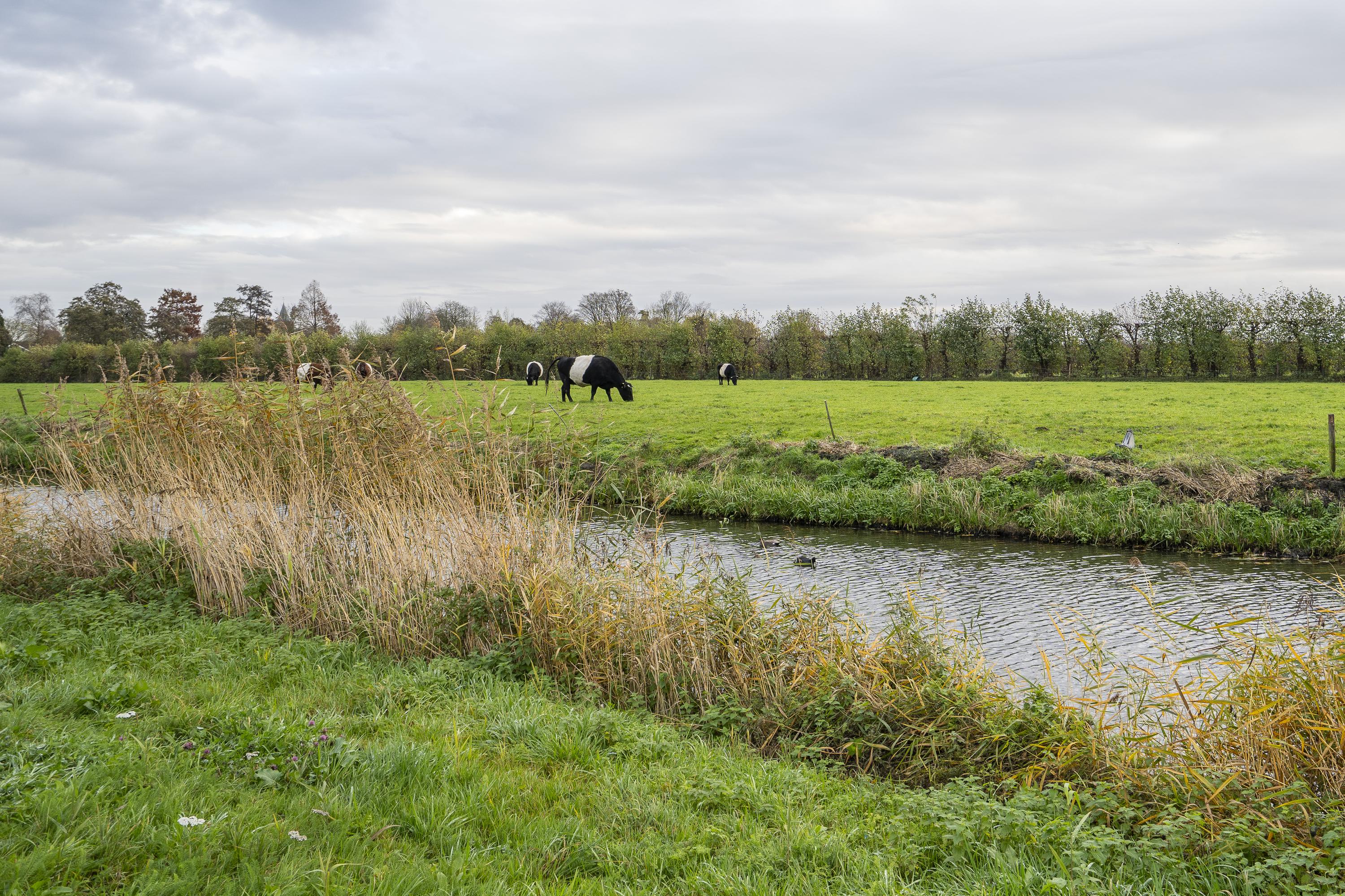 Zeven kastelenlaan 22, afbeelding 46