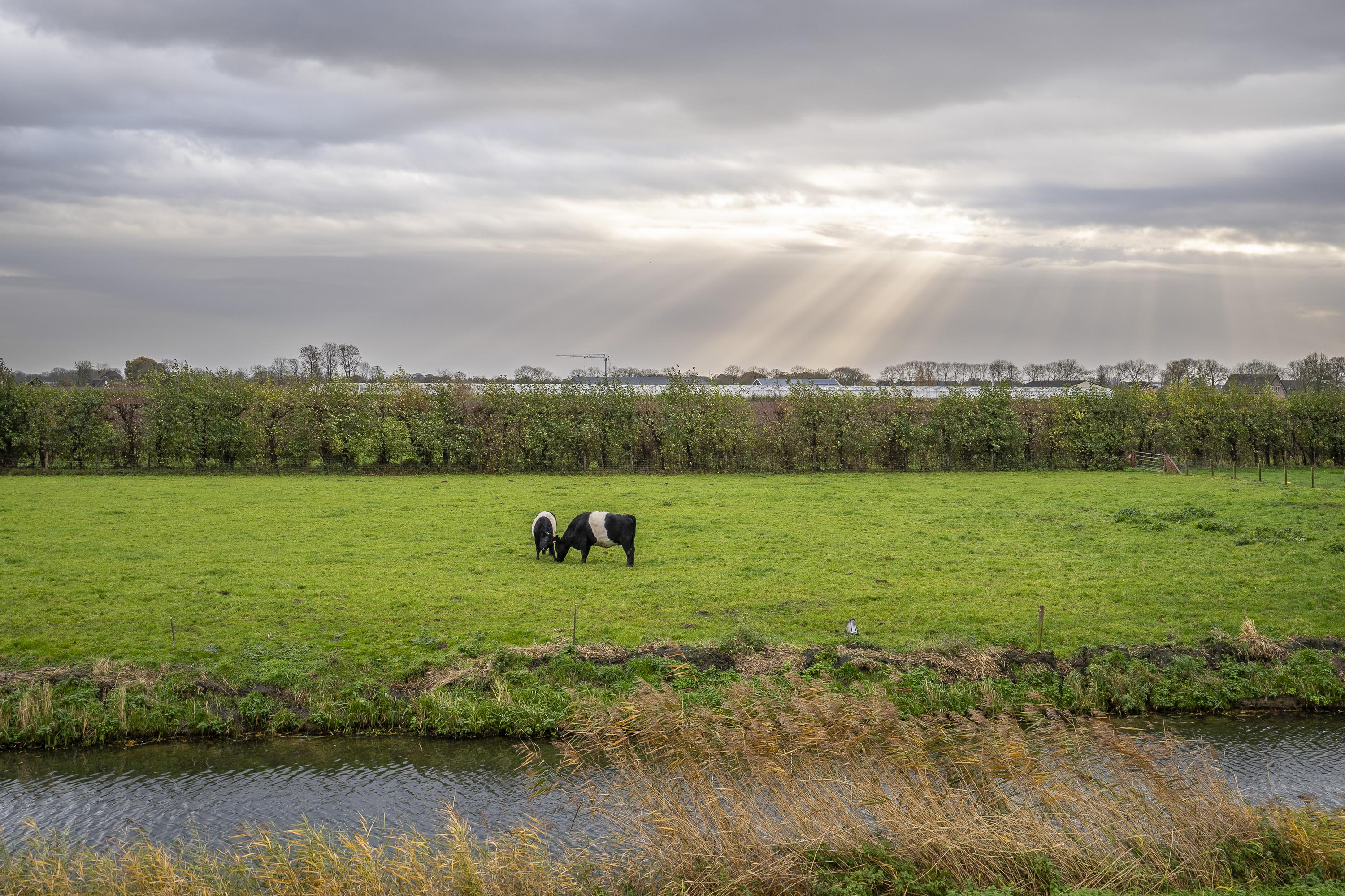 Zeven kastelenlaan 22, afbeelding 1