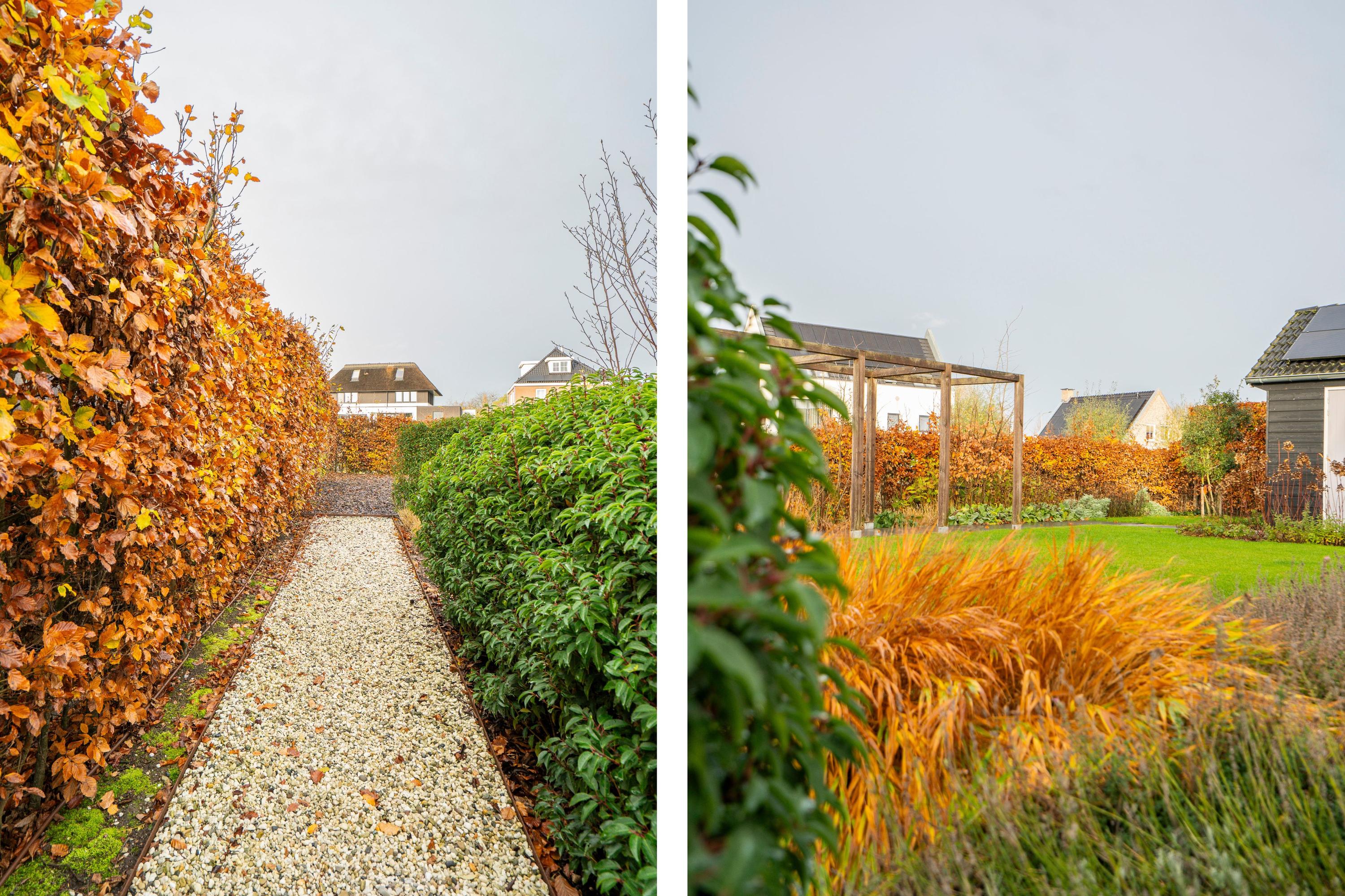 Buitenbos 14, afbeelding 42