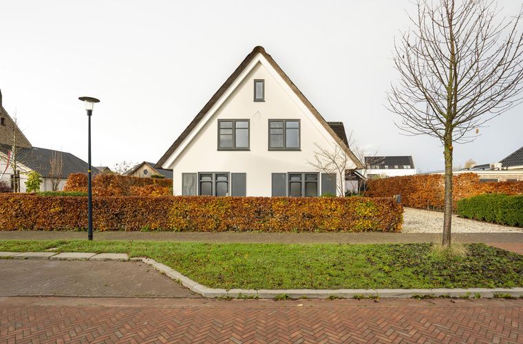 Afbeelding 50