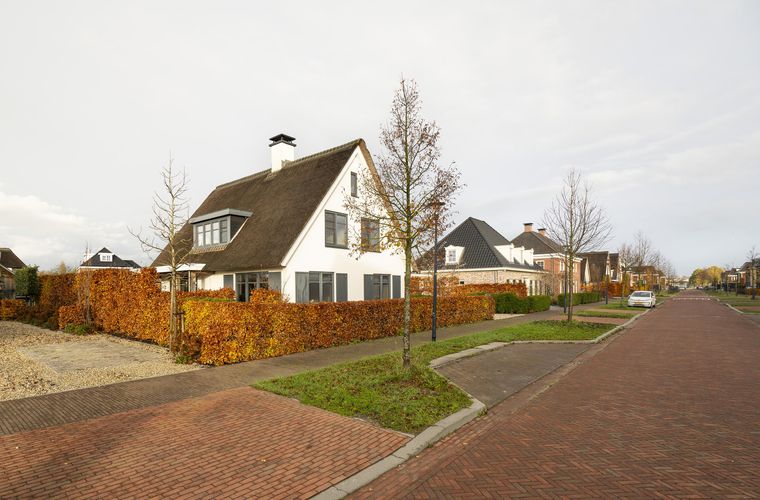 Afbeelding 51