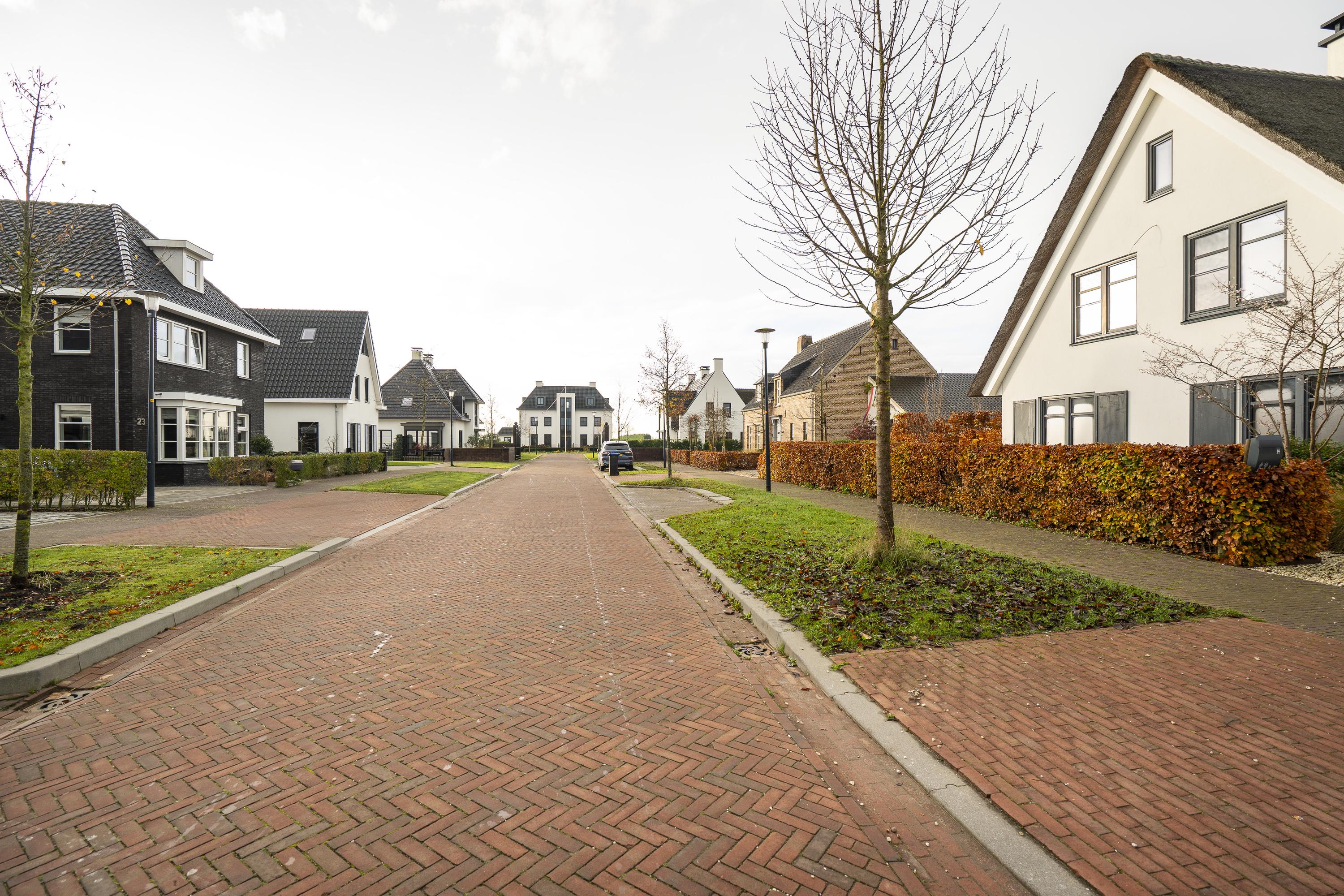 Buitenbos 14, afbeelding 52