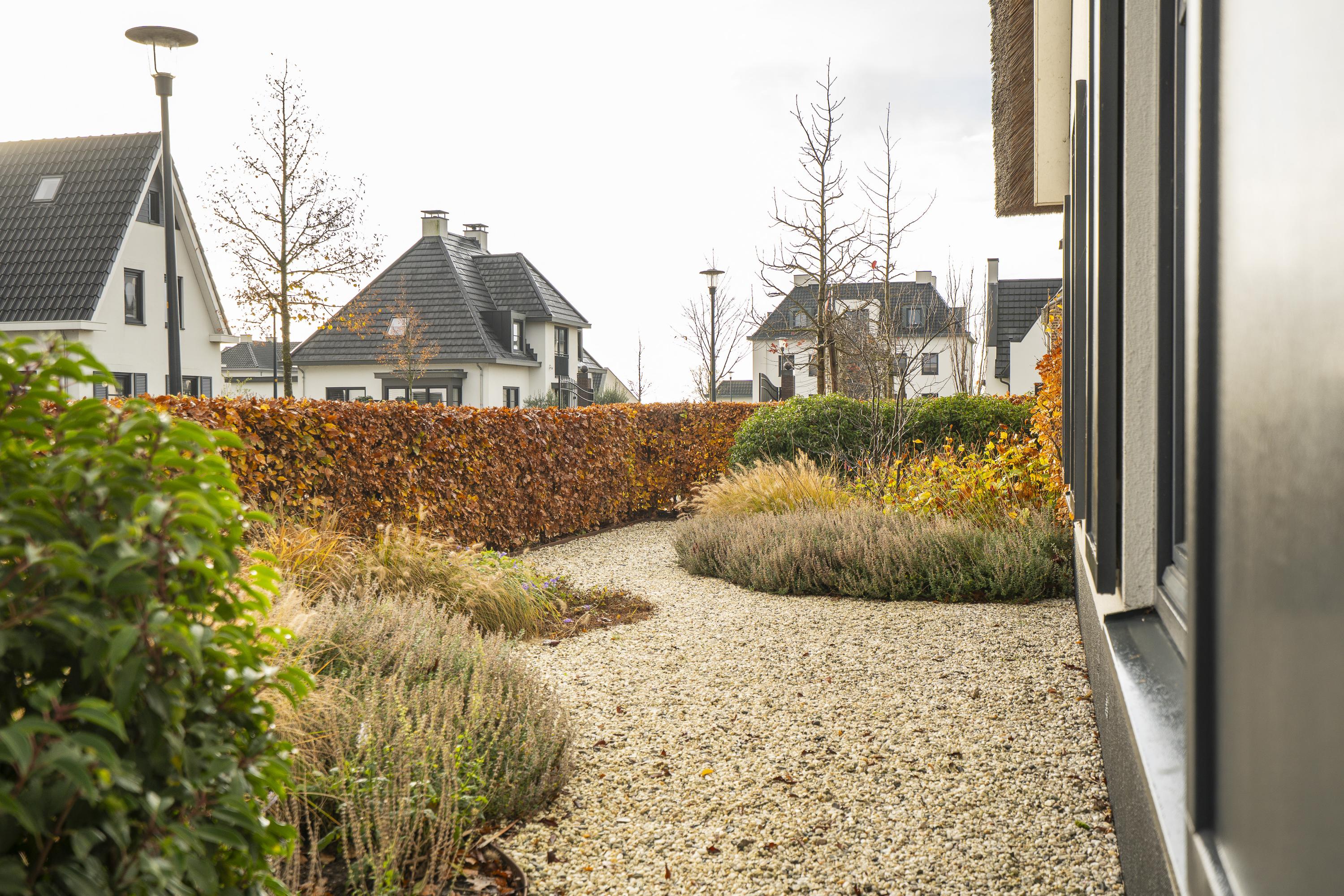 Buitenbos 14, afbeelding 5