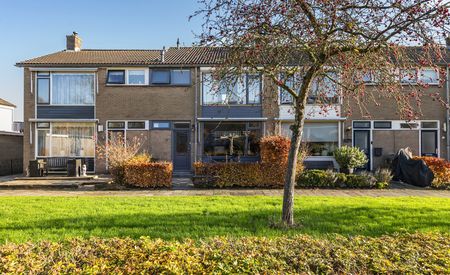 Lodewijk van Nassaustraat 29