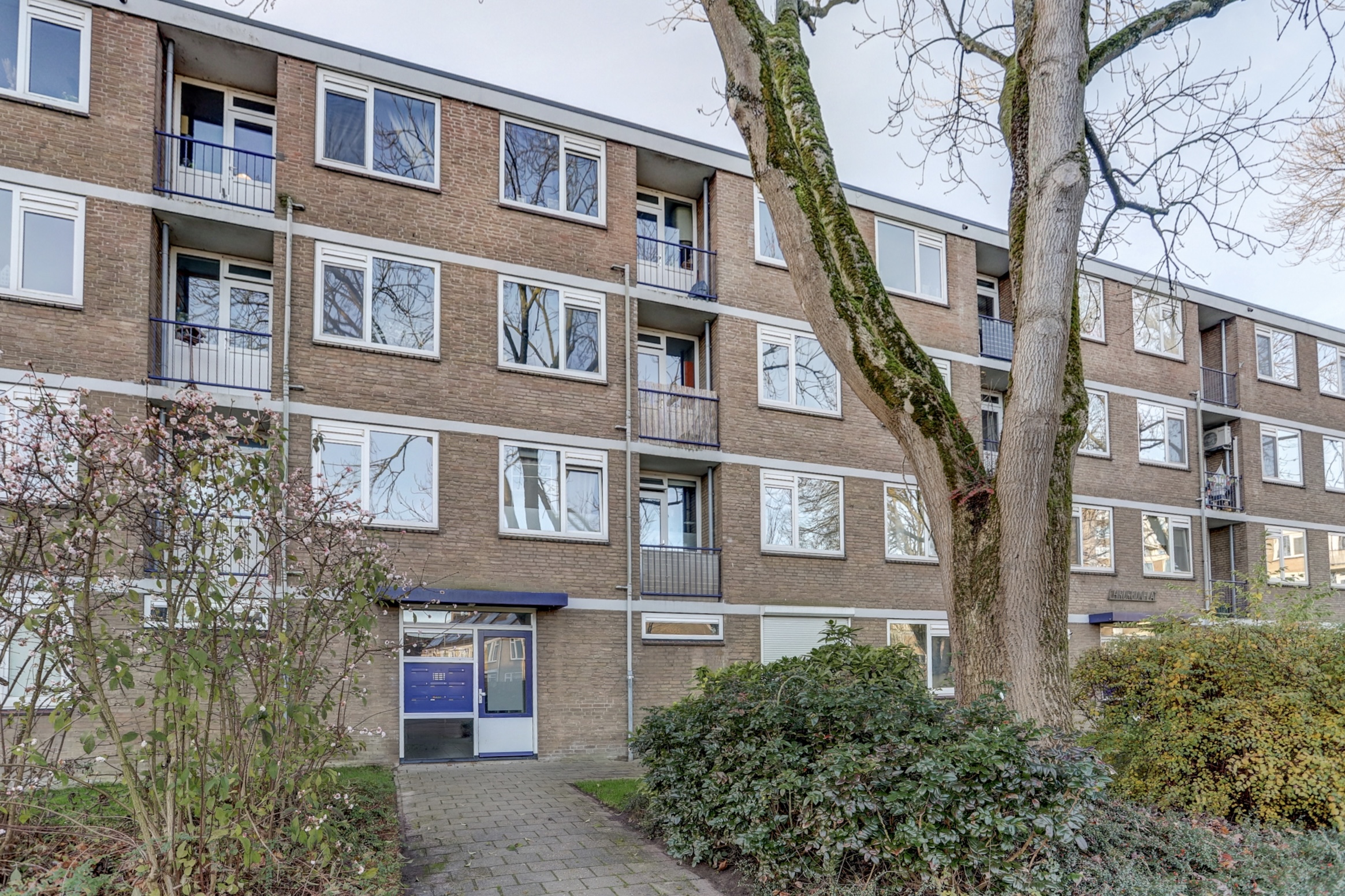 Chirurgijnstraat 13, afbeelding 1